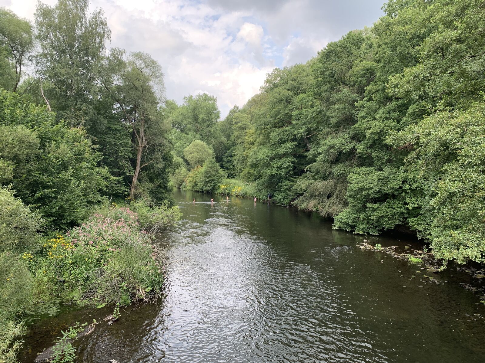 iPhone XR back camera 4.25mm f/1.8 sample photo. Bergisches land, hiking, river photography