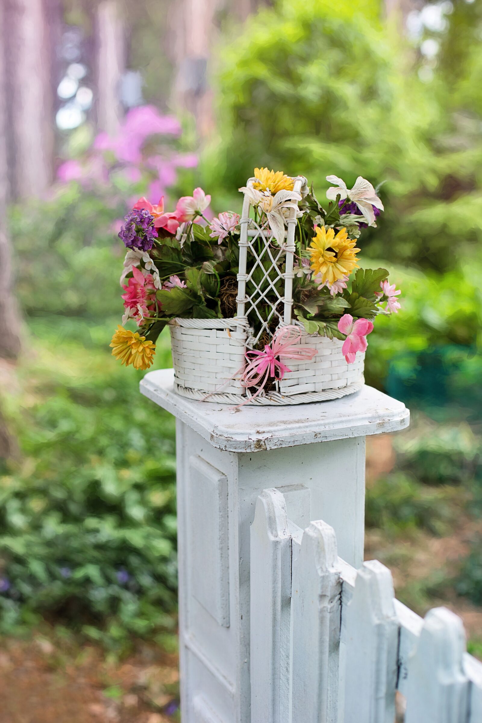 Canon EF 50mm F1.4 USM sample photo. Flower basket, flowers, blooms photography