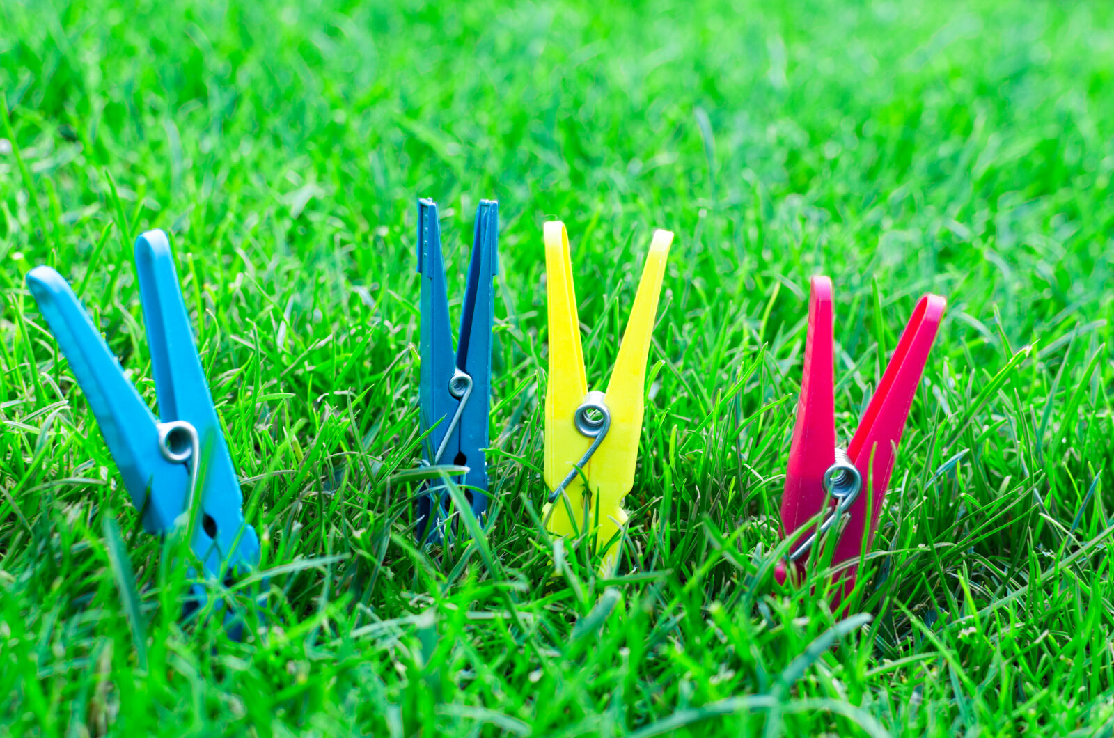 Nikon D5100 + Nikon AF-S DX Nikkor 35mm F1.8G sample photo. Background, blue, close, up photography