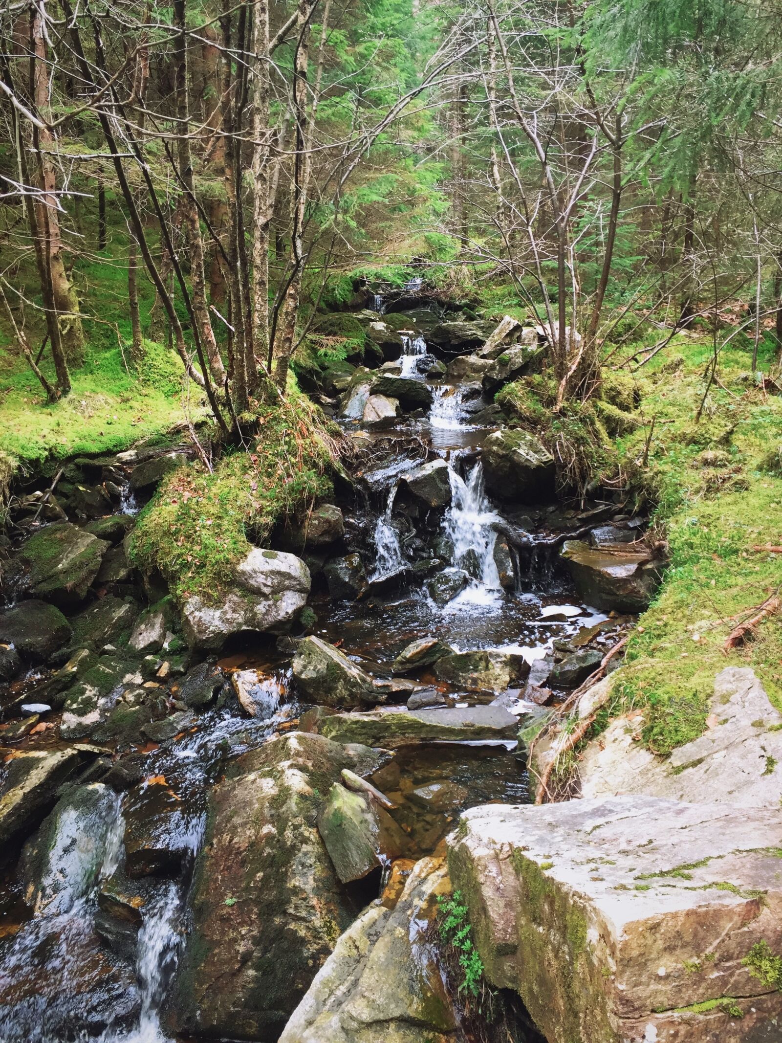 Apple iPhone 6 sample photo. Stream, water, river photography