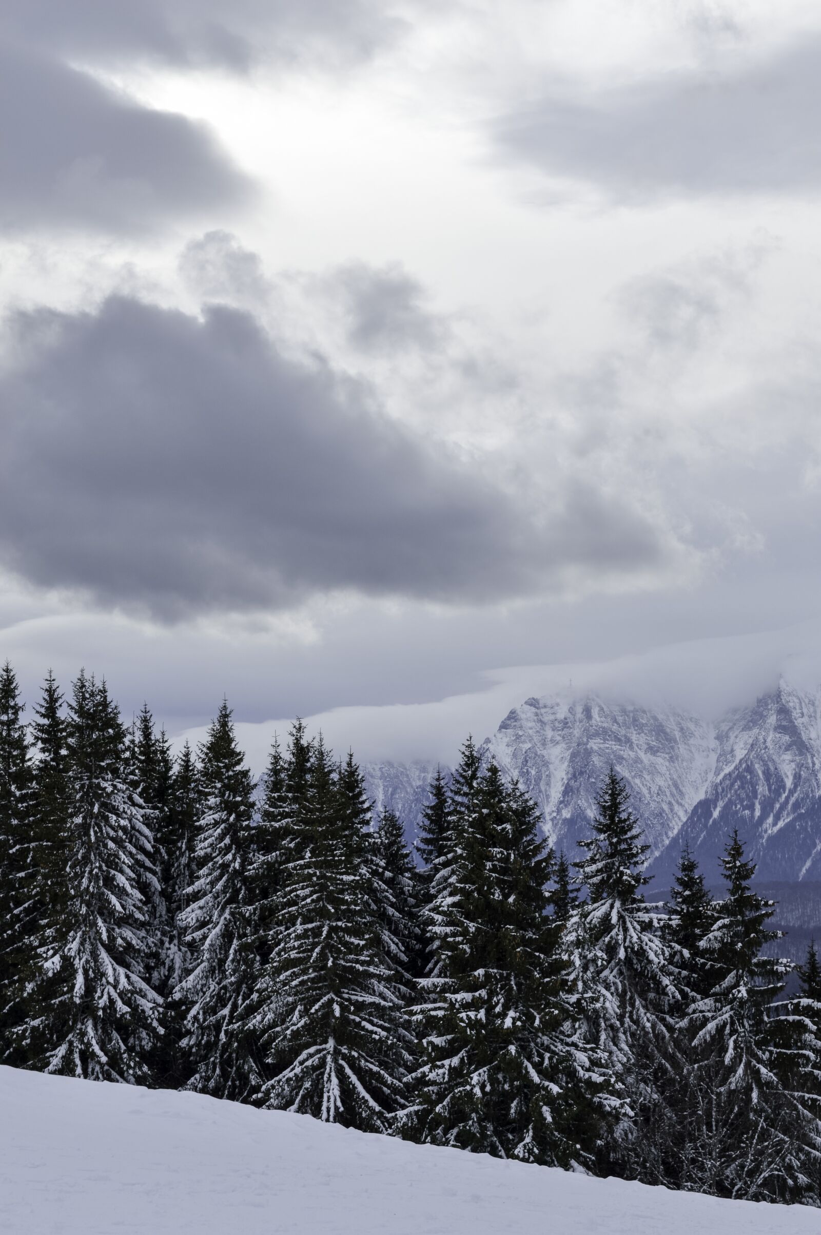 Nikon D3200 sample photo. Cold, december, forest photography