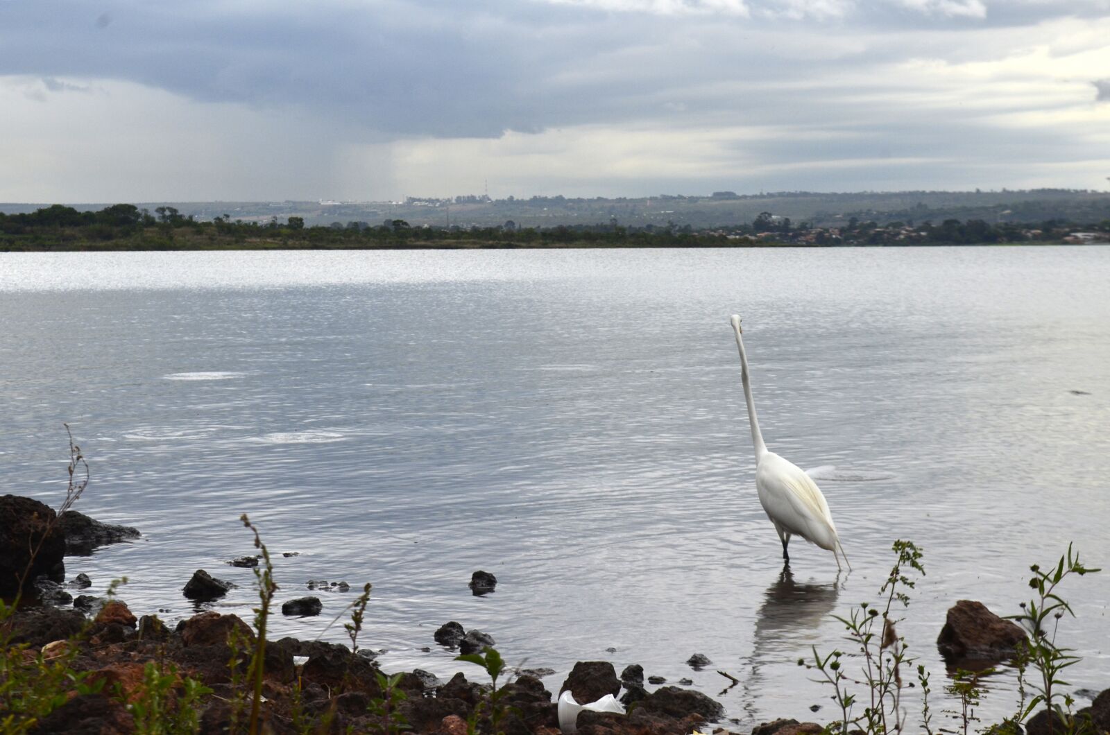 Nikon D5100 sample photo. Brasilia, paranoá, sunset photography