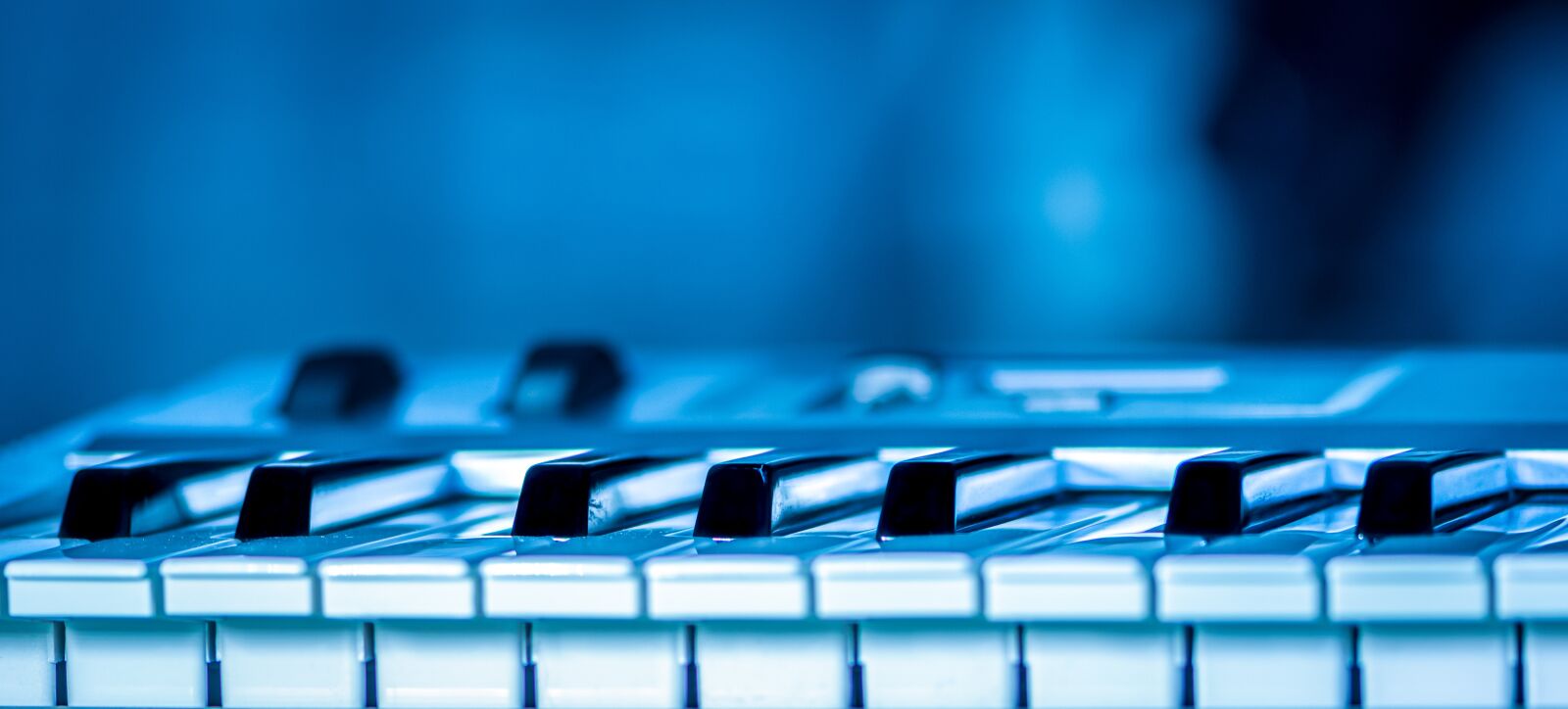 Nikon D5600 sample photo. Piano, keyboard, instrument photography
