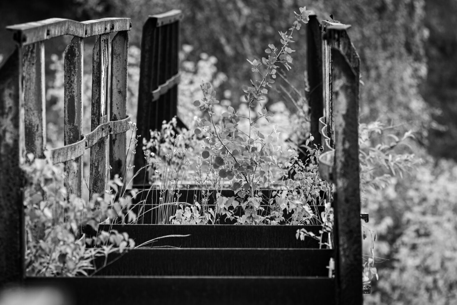 Canon EOS 80D sample photo. Old, web, industry photography
