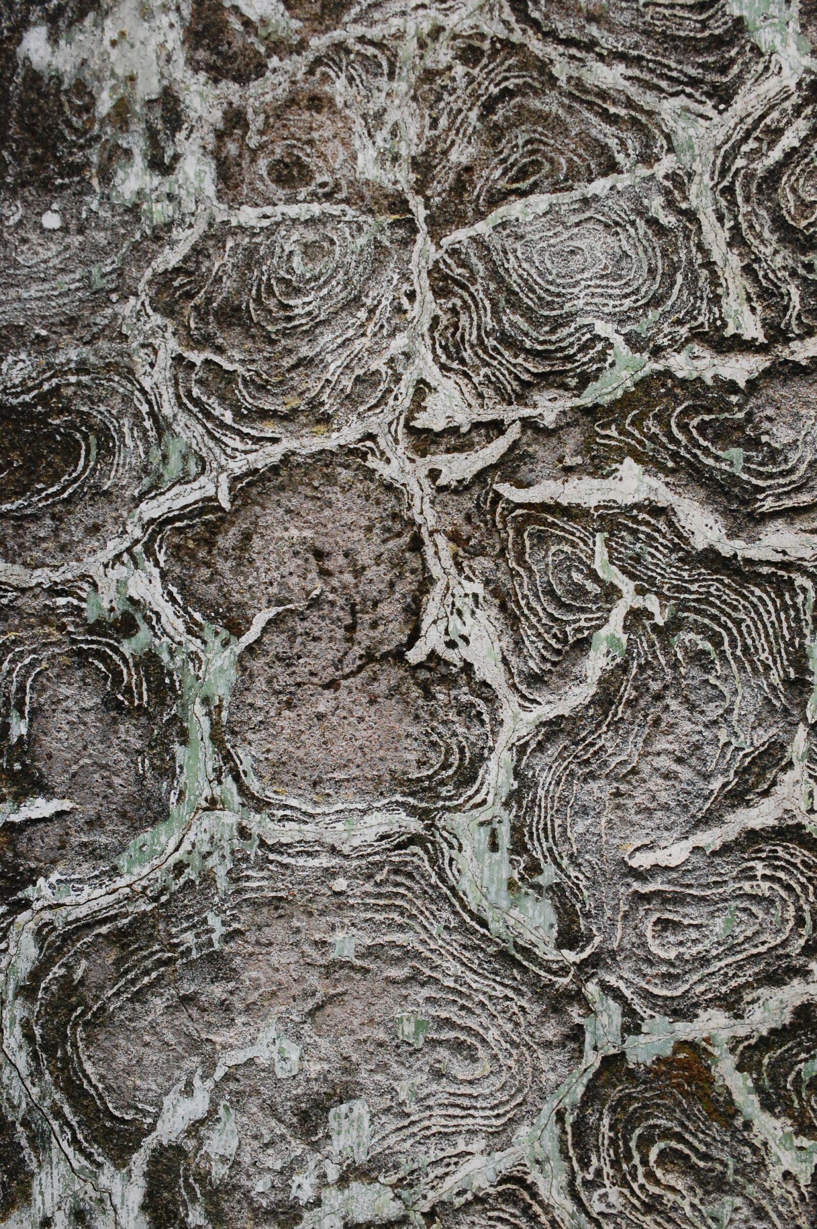 Nikon D40 sample photo. Texture, wall, old photography