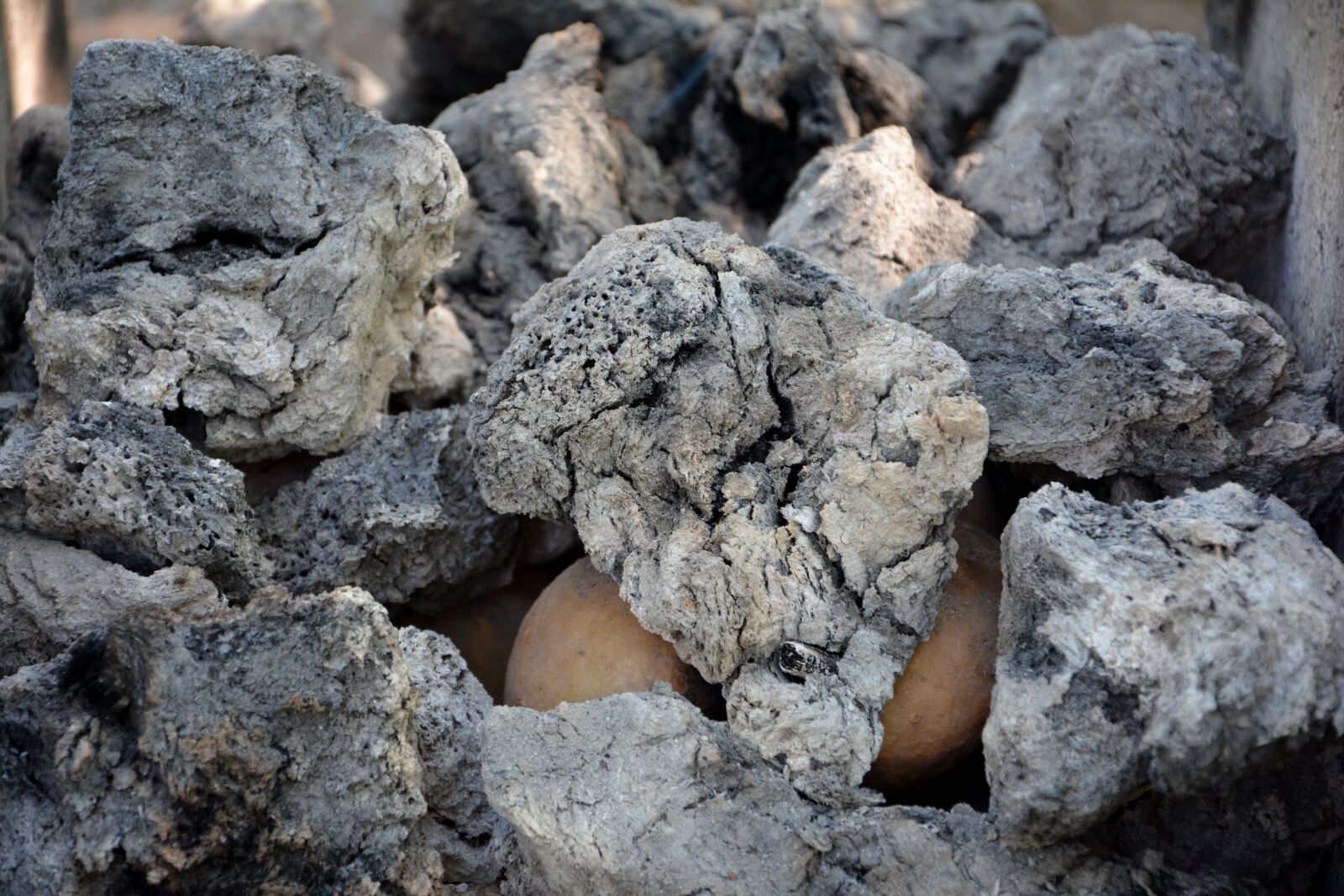 Nikon D7100 sample photo. Ali, embers, blind photography