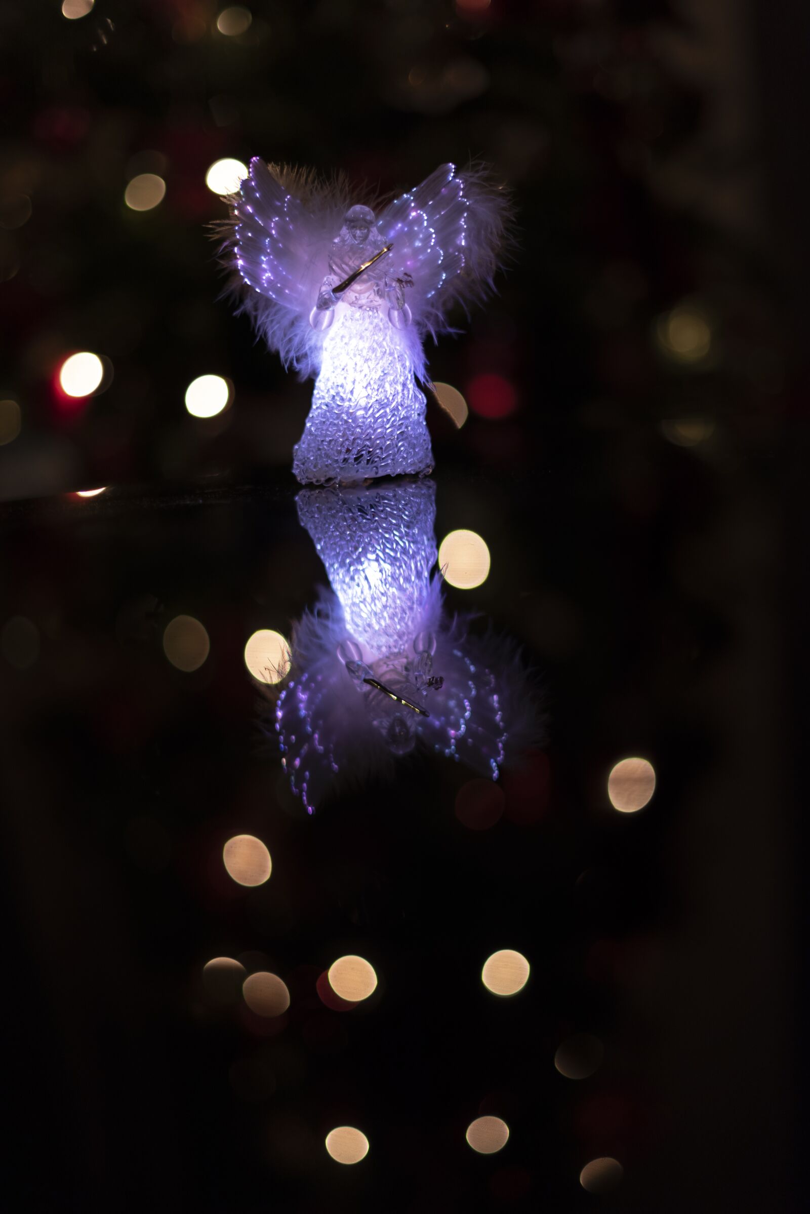 Nikon D750 sample photo. Christmas, lights, holiday photography