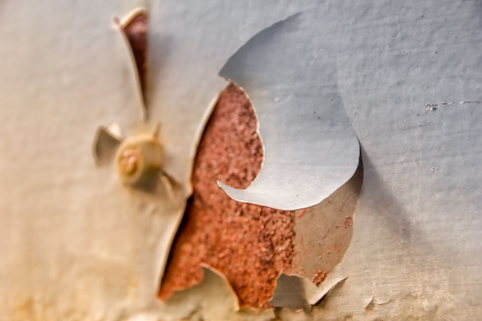 Canon EOS 60D sample photo. Corrosion, paint, flake photography