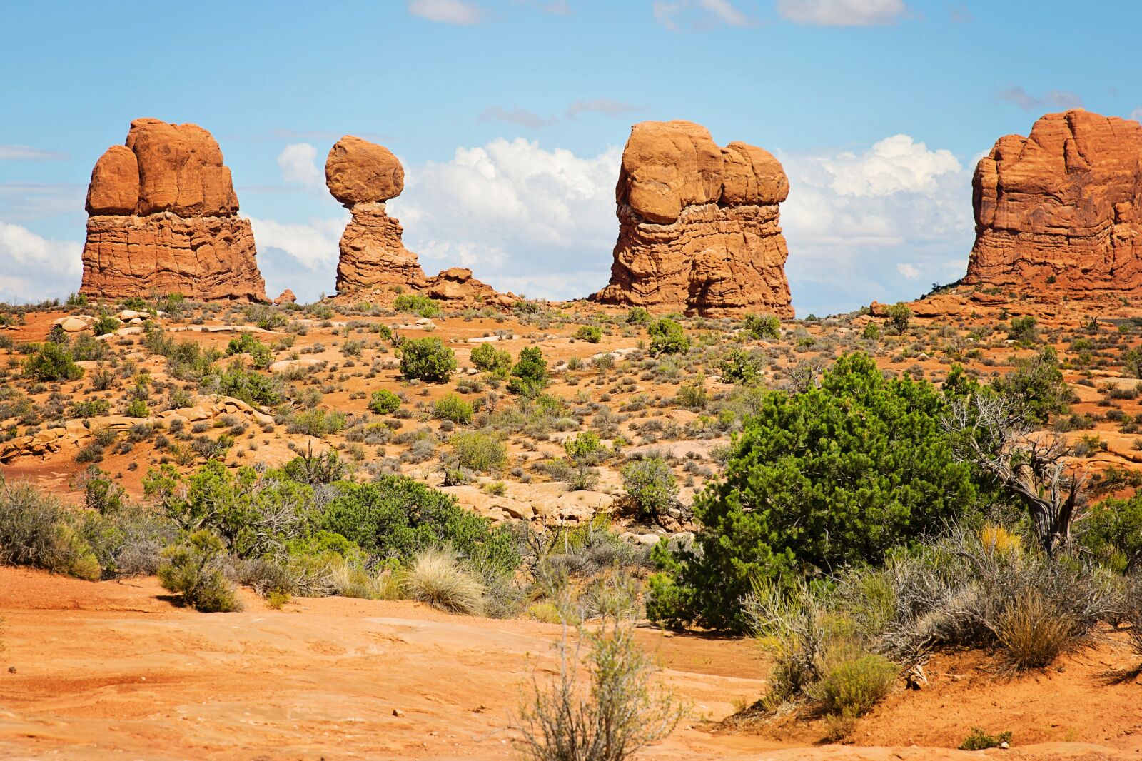 Canon EF 24-70mm F2.8L II USM sample photo. Moab, utah, red rocks photography