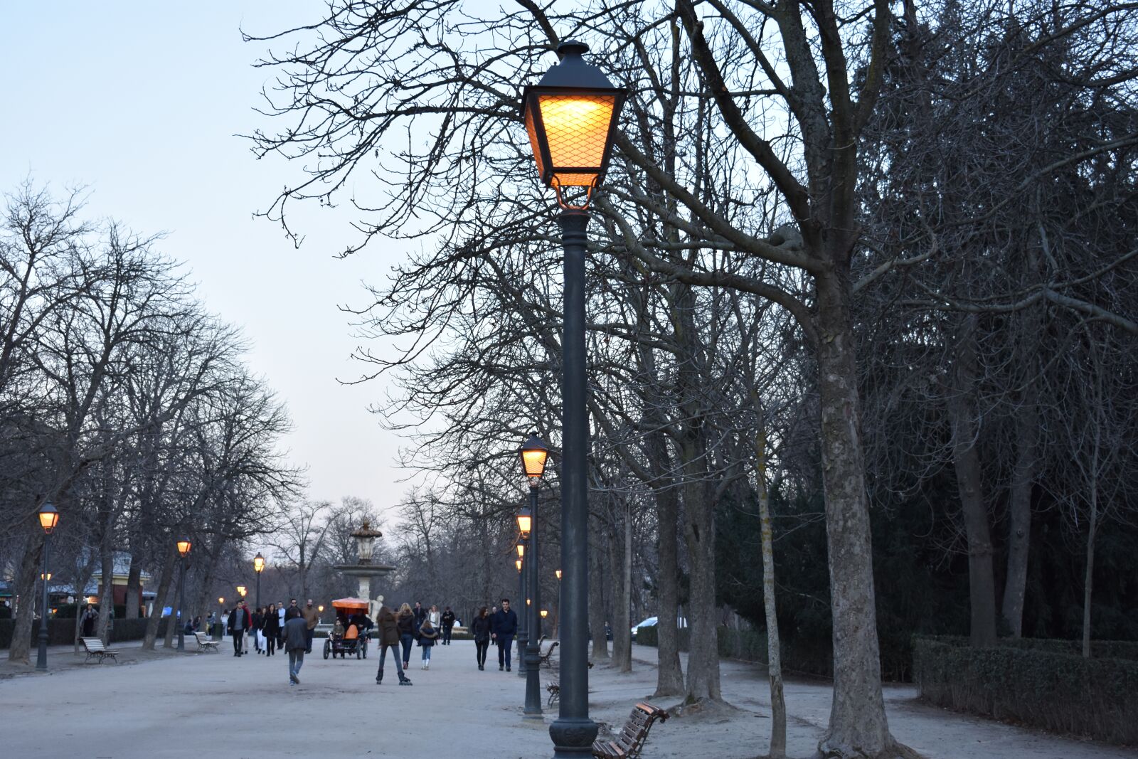 Nikon D3400 sample photo. Madrid, park, lights photography