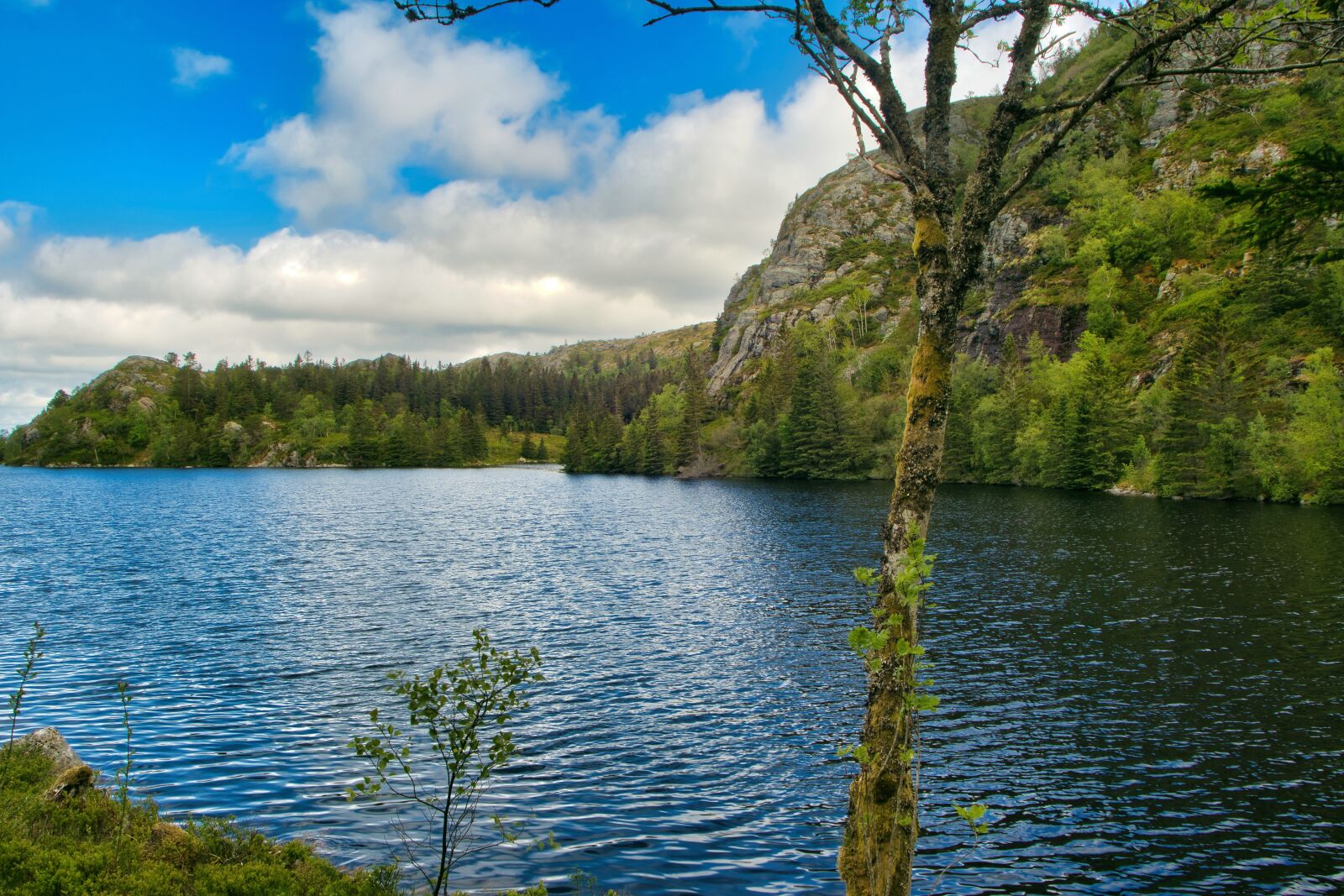 Canon EOS 80D sample photo. Norway, lake, water photography