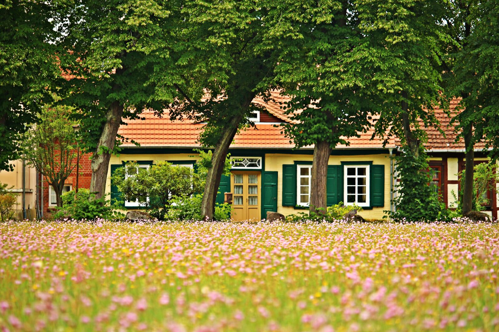 Canon EOS 100D (EOS Rebel SL1 / EOS Kiss X7) sample photo. Ludwigslust-parchim, fachwerkhaus, flowers photography