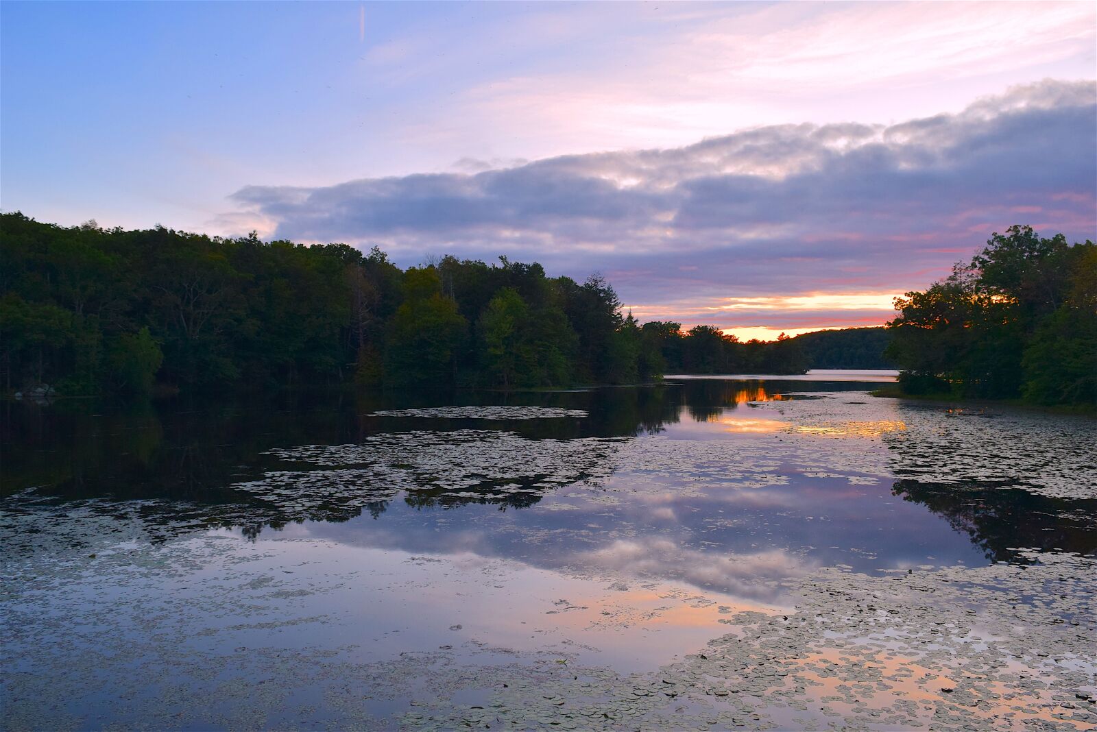 Nikon D3300 sample photo. Lake, sunset, park photography