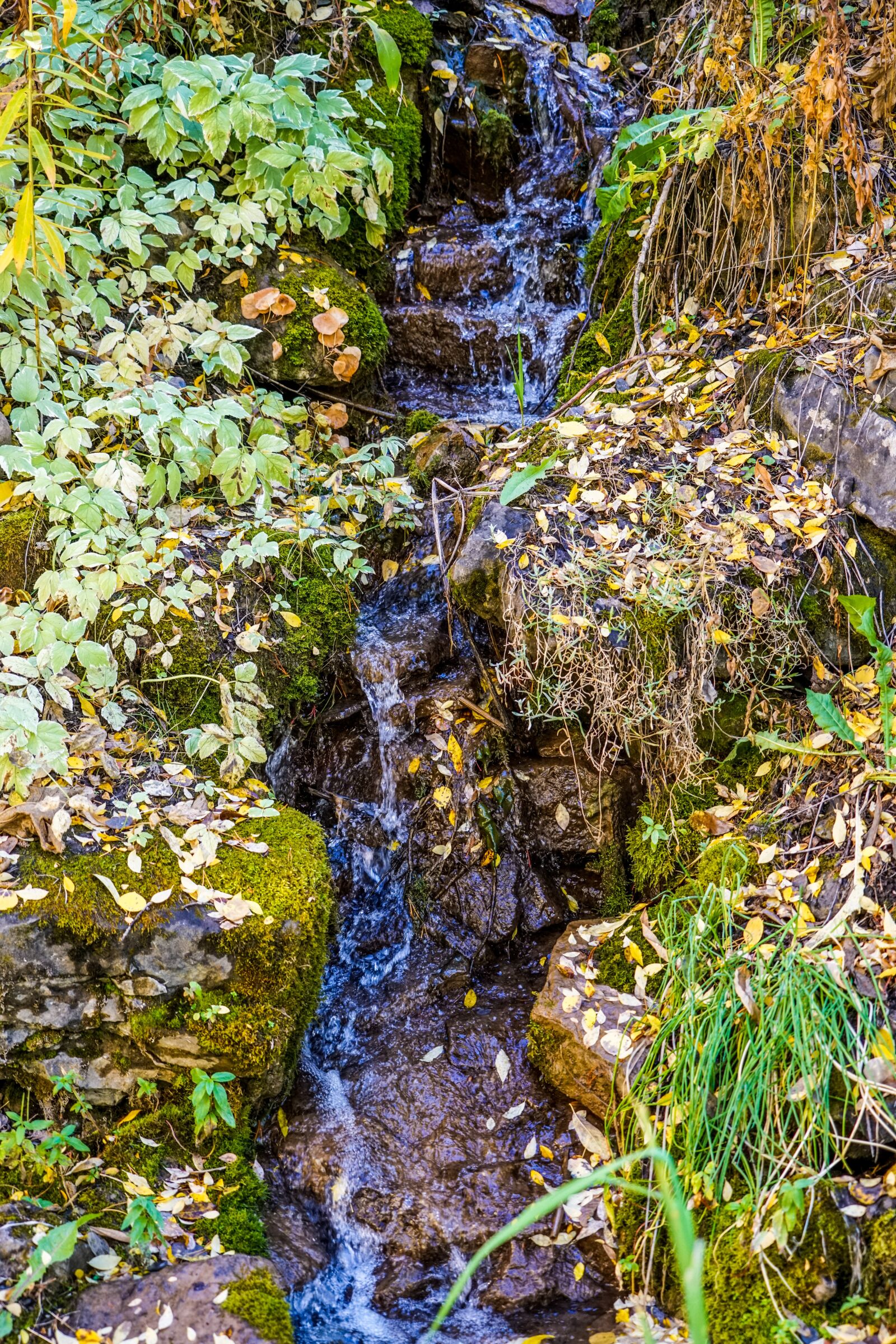 Sony a7R II + Sony FE 24-240mm F3.5-6.3 OSS sample photo. Stream, rocks, nature photography