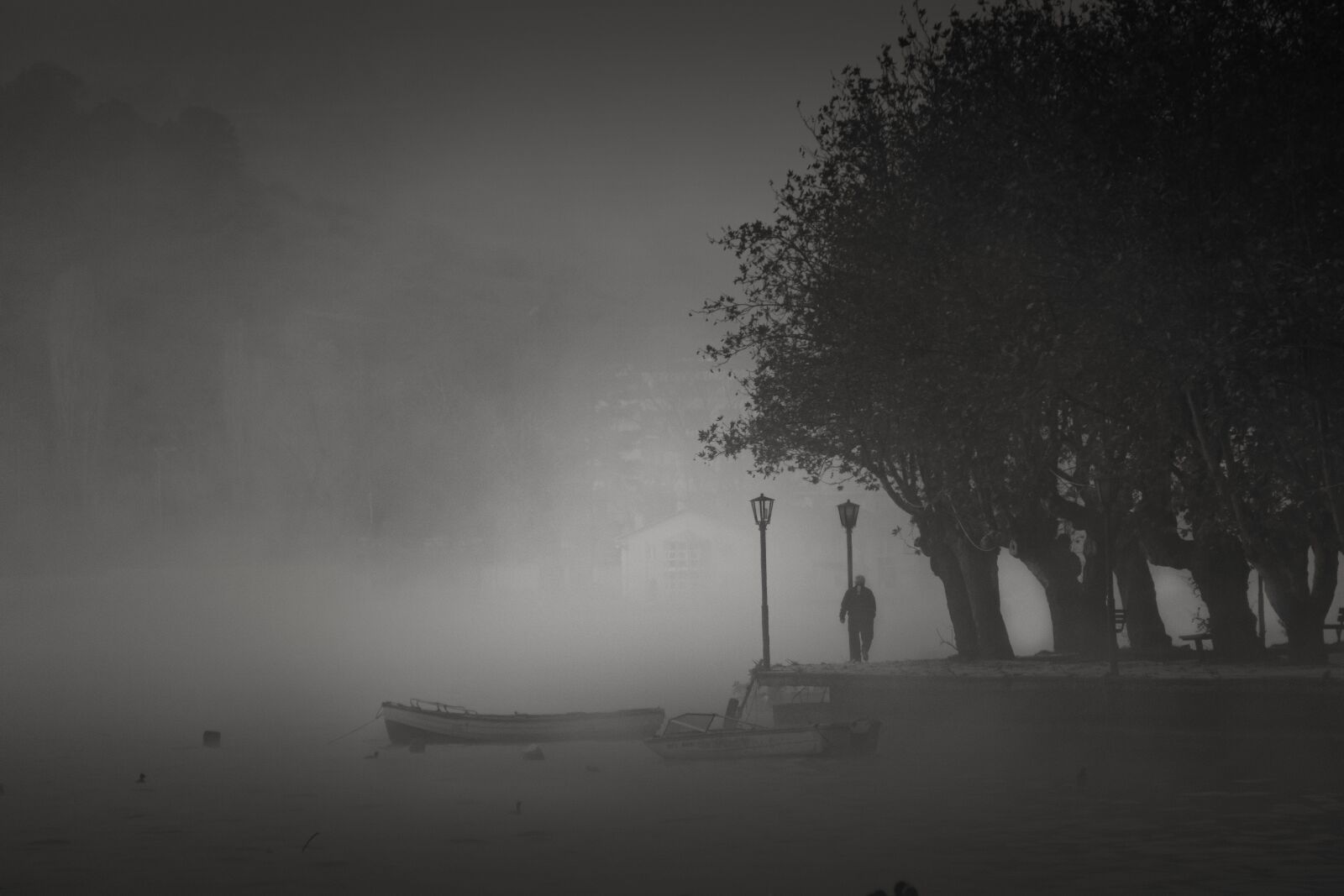Nikon D5300 sample photo. Dark, fog, mood photography