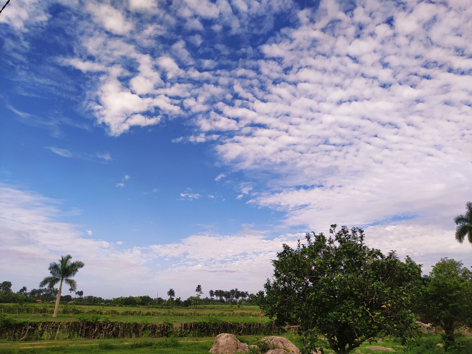 Xiaomi Redmi Note 8 sample photo. Cielo, nubes, paisaje photography
