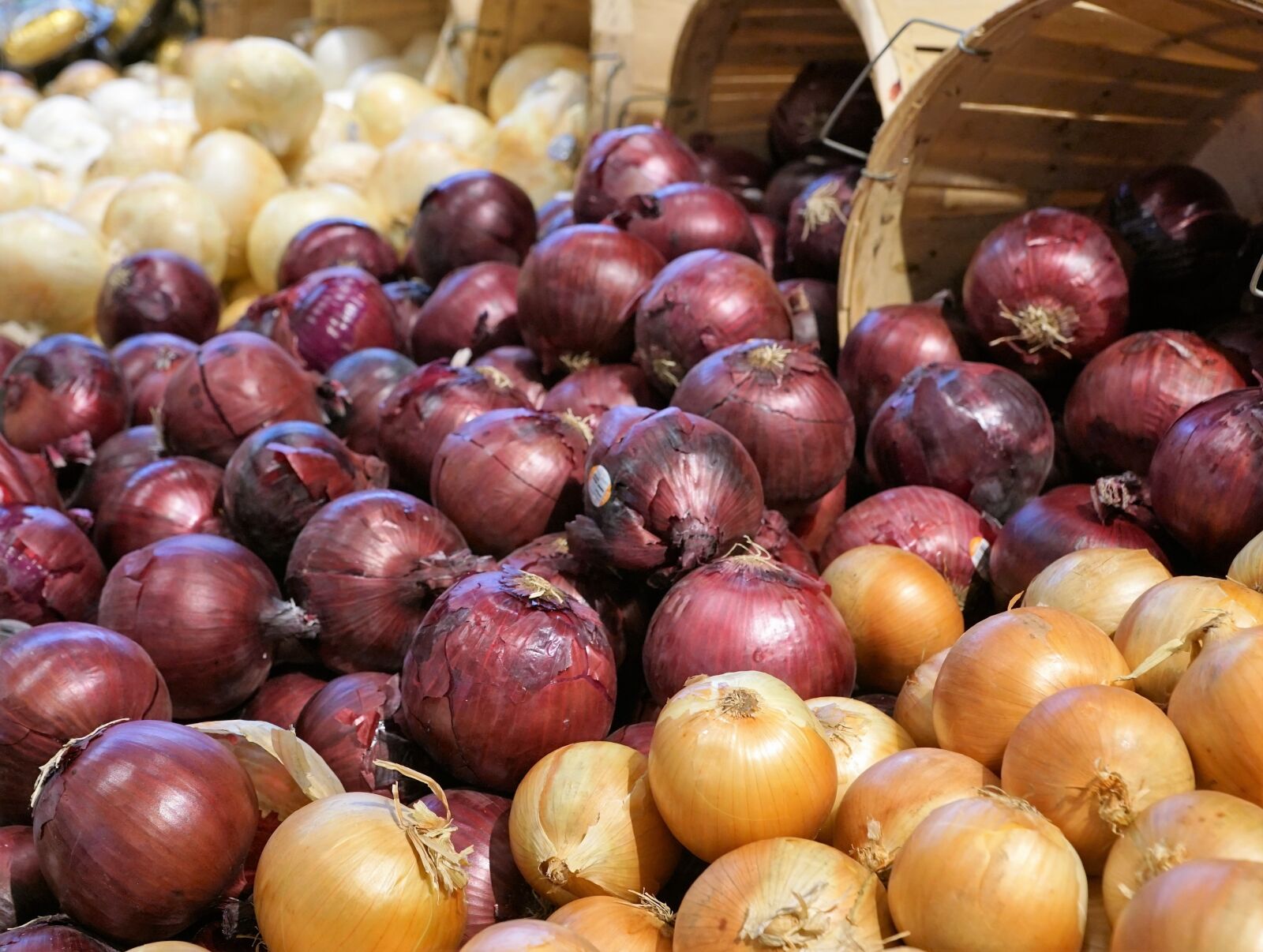 Sony ILCA-77M2 + Sony DT 16-50mm F2.8 SSM sample photo. Onions, eat, market photography