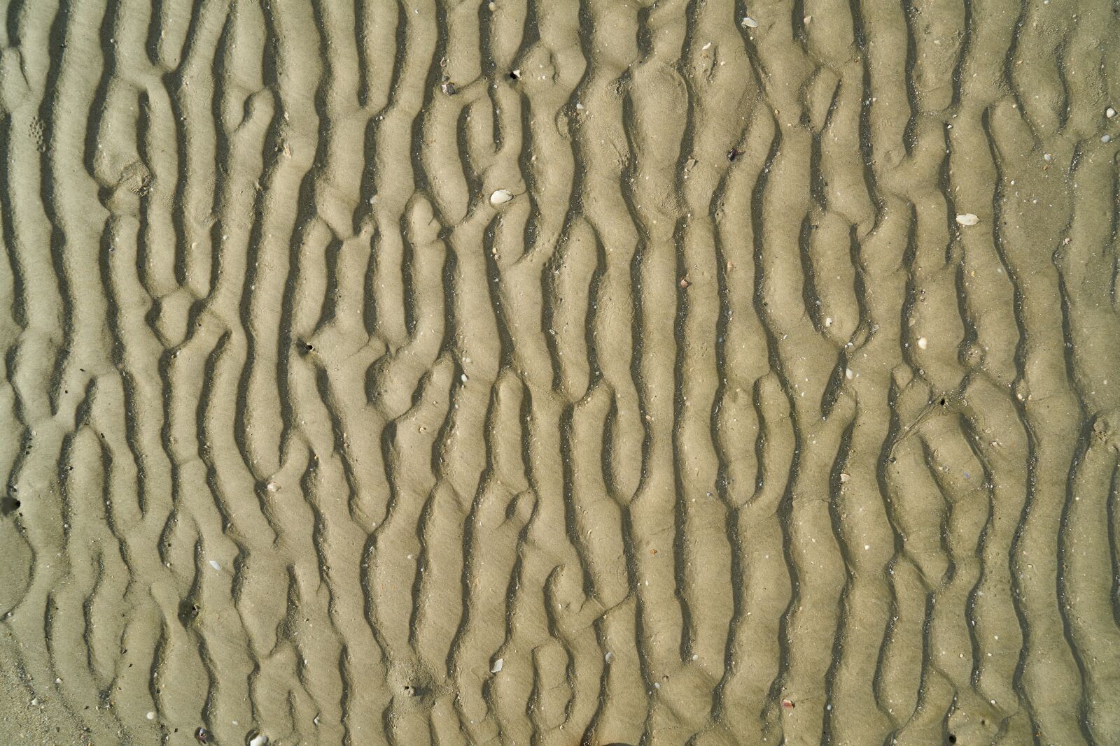 Sony a7R II sample photo. Sand, beach, texture photography