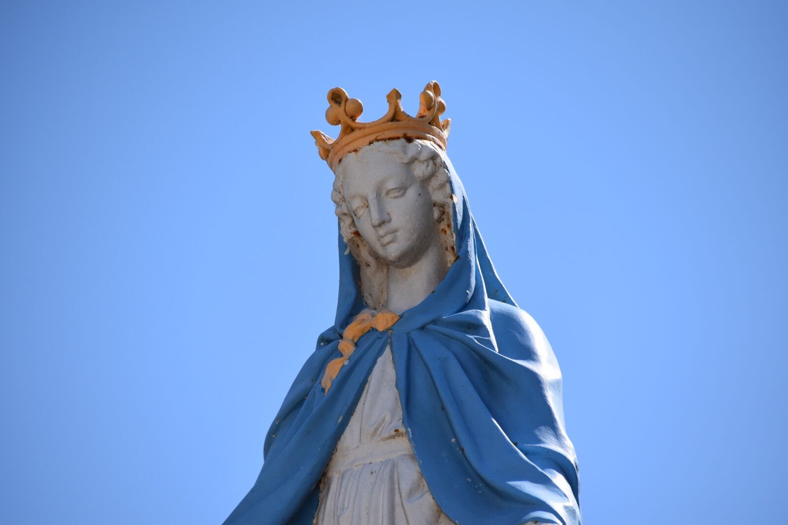 Nikon D5600 sample photo. Our lady of the photography