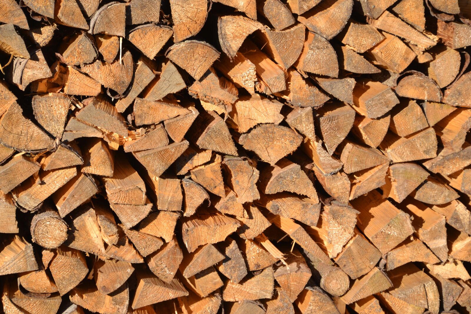 Nikon D3100 sample photo. Forest, wood, pile of photography