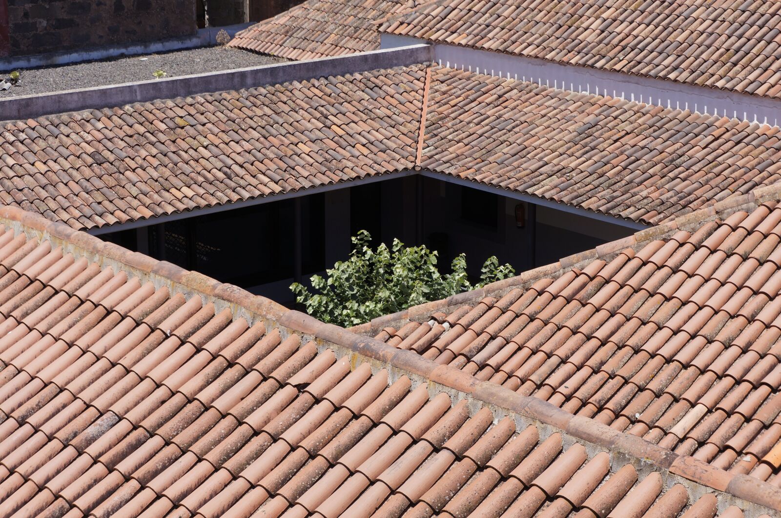 Sony Alpha NEX-5N sample photo. Roof, texas, old building photography
