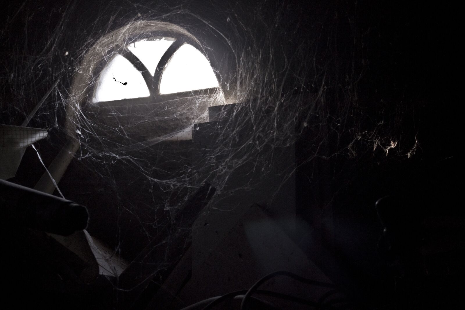 Canon EOS 1300D (EOS Rebel T6 / EOS Kiss X80) sample photo. Spider webs, light, old photography