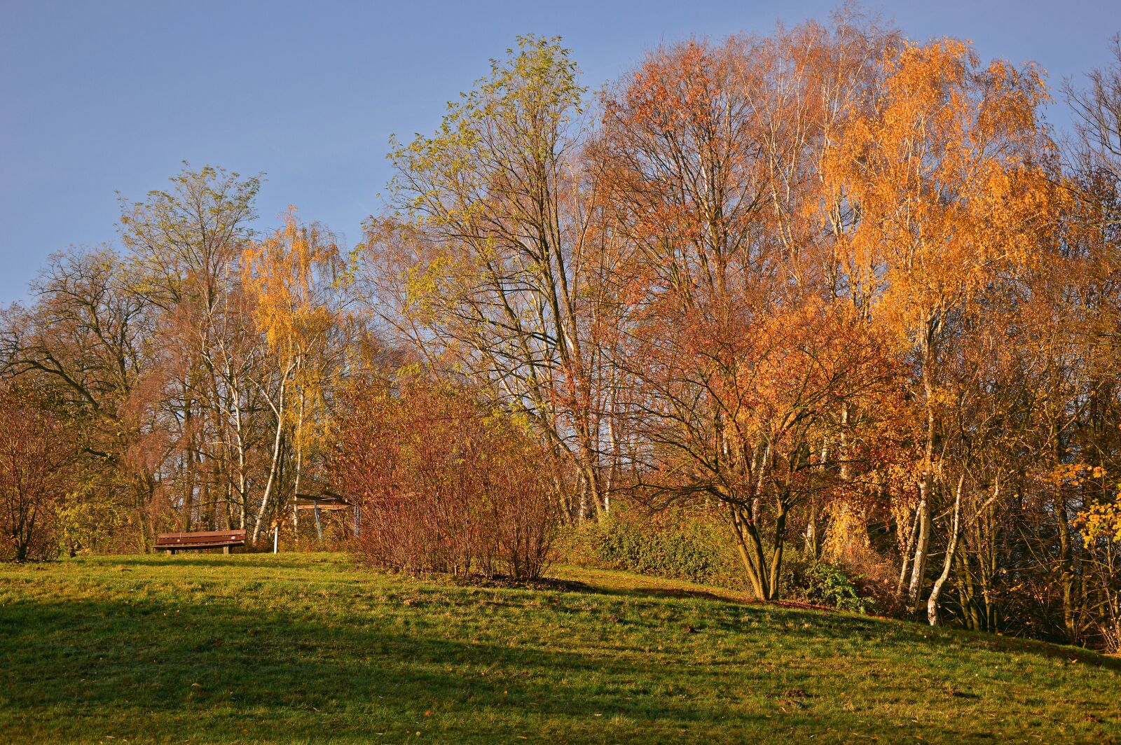 Nikon D3200 sample photo. Autumn, landscape, autumn landscape photography