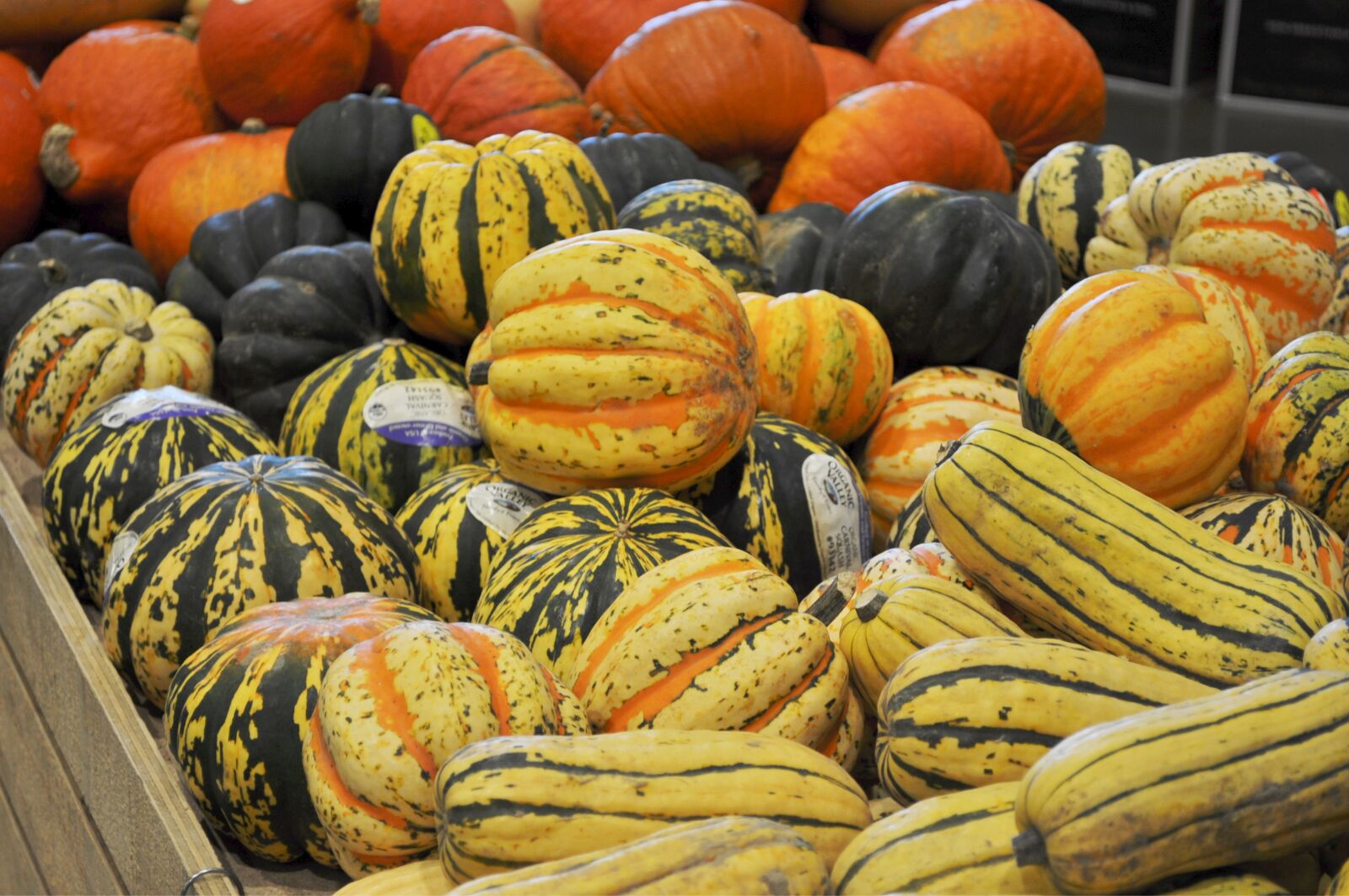 Nikon D5000 sample photo. Gourds, farmers market, yellow photography