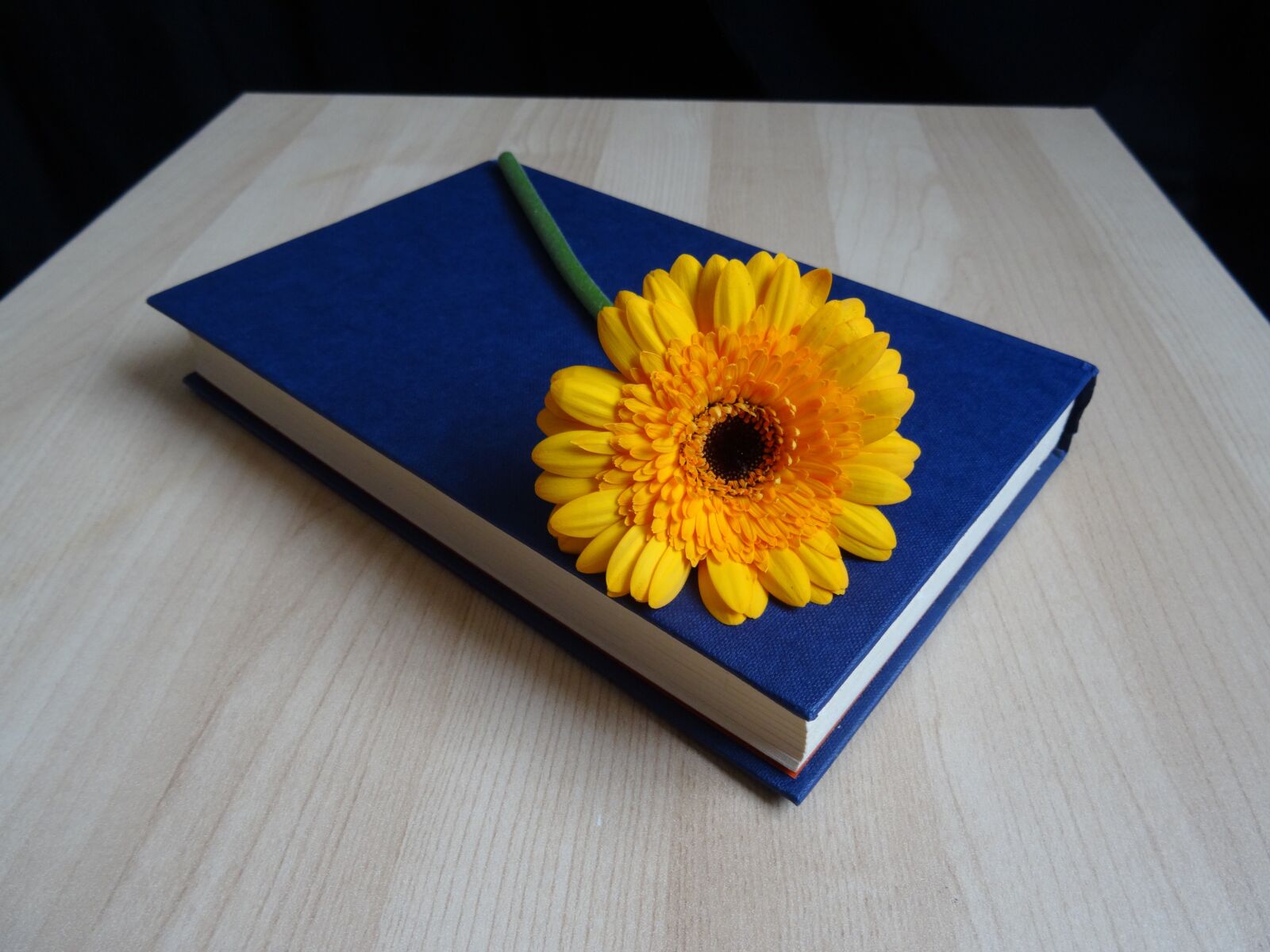 Sony DSC-HX50 sample photo. Book, read, flower photography