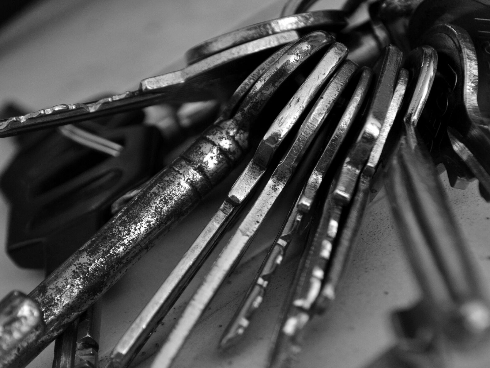 Nikon D3100 sample photo. Keys, black white, old photography