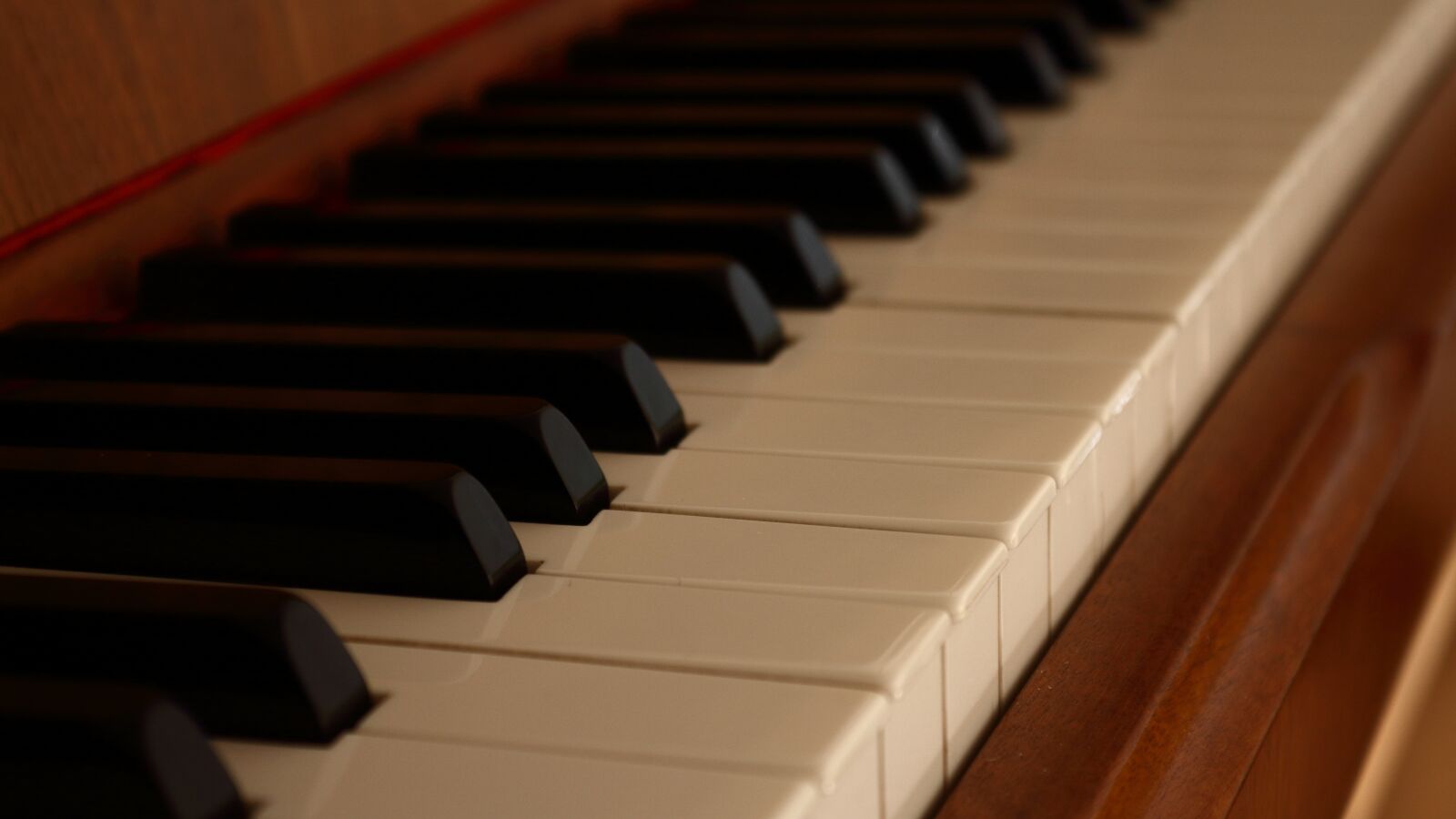 Canon EOS 1300D (EOS Rebel T6 / EOS Kiss X80) sample photo. Piano, instrument, keys photography
