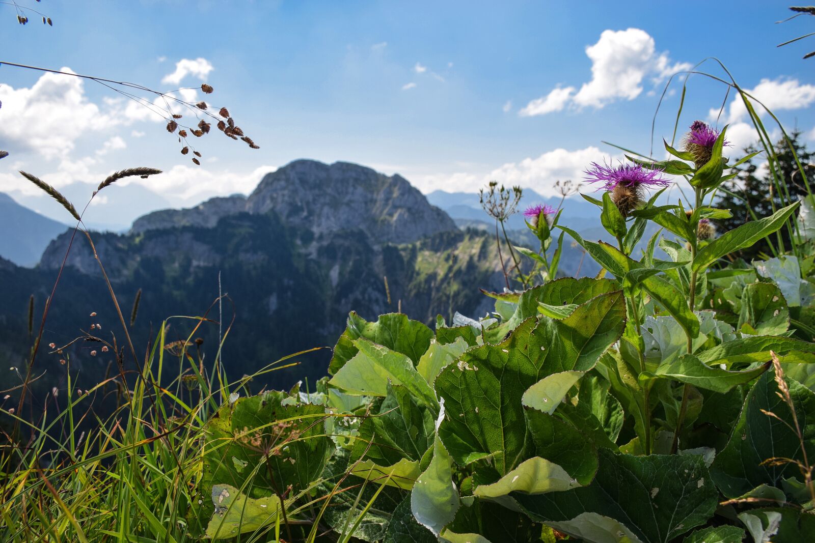 Nikon D5300 sample photo. Alpine, schwangau, allgäu photography