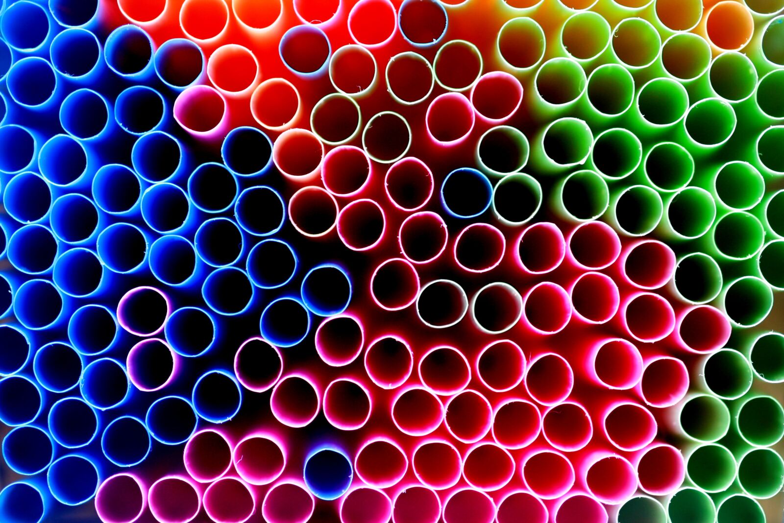 Canon EOS 1000D (EOS Digital Rebel XS / EOS Kiss F) sample photo. Abstract, circles, close-up view photography