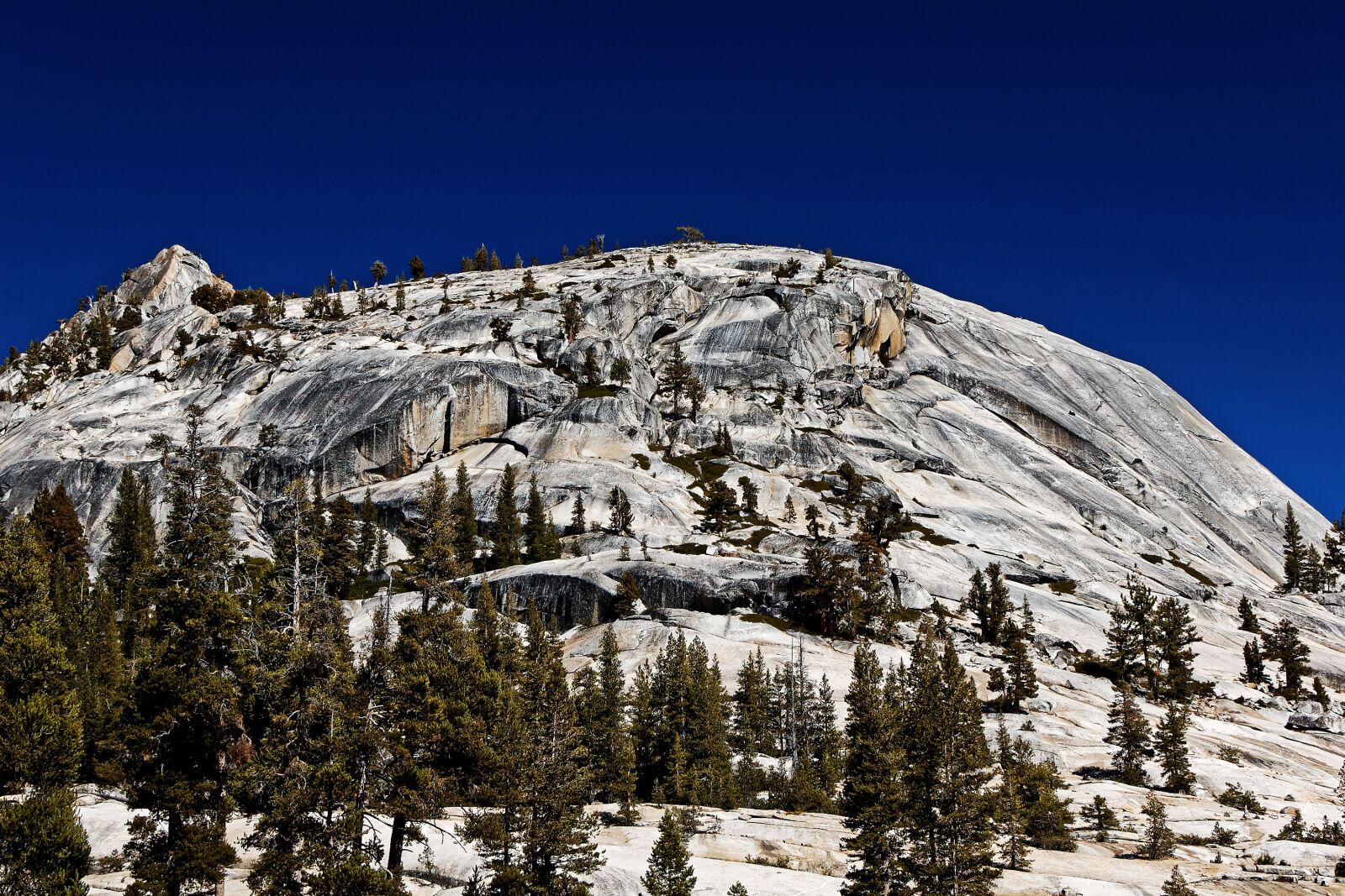 Nikon D50 sample photo. Landscape, california, national park photography