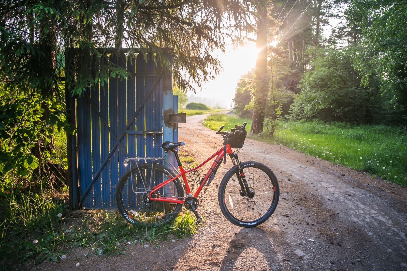 Canon EF 24-105mm F3.5-5.6 IS STM sample photo. Bike, summer, nature photography