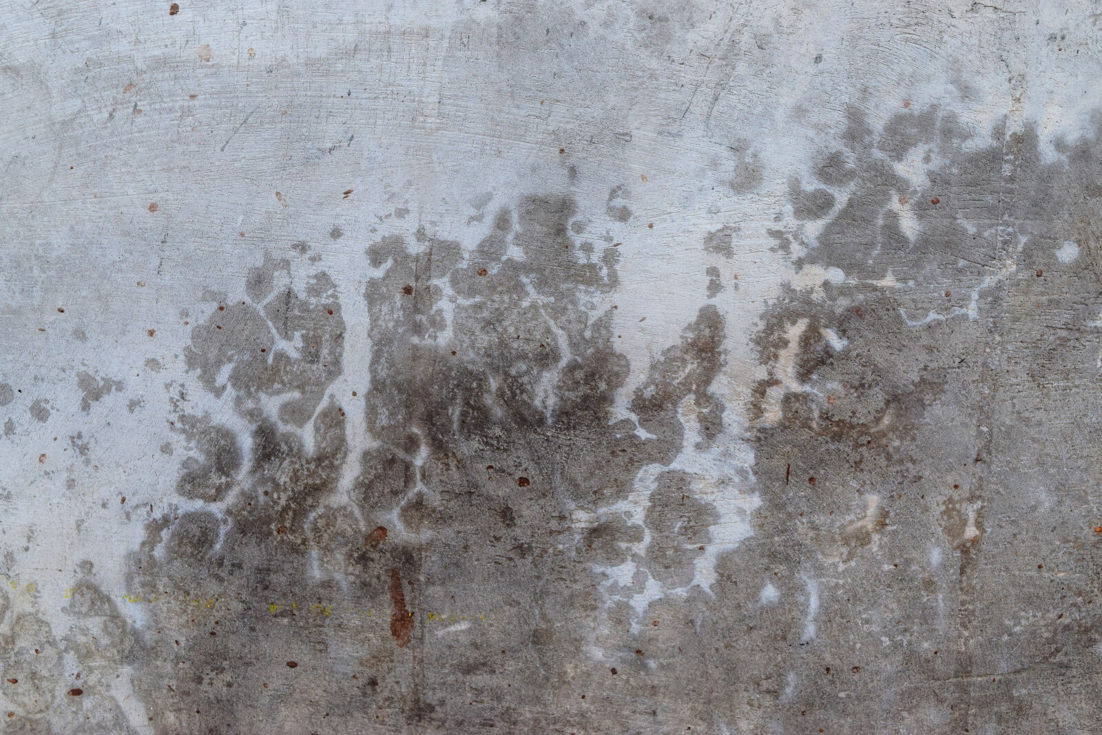 Nikon D3300 sample photo. Cement, cracked, decay, fading photography