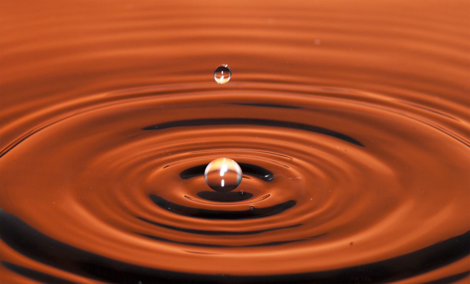 Nikon D80 sample photo. Drops, sketch, macro photography