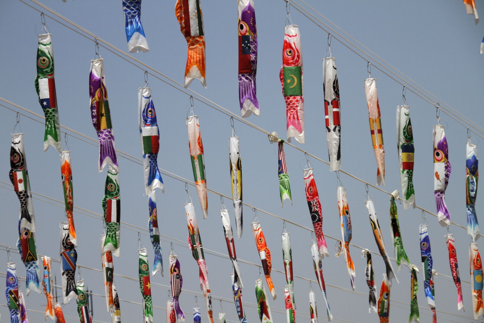 Canon EOS 7D sample photo. Kites, japanese, traditional photography