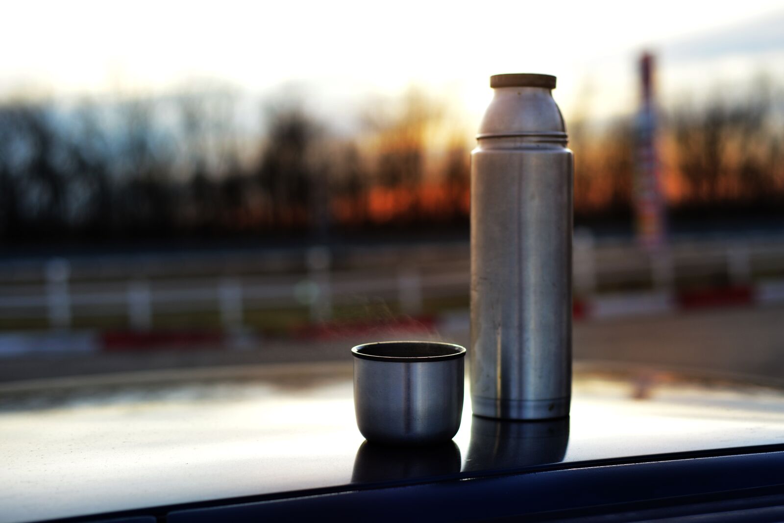 Nikon D800 sample photo. Dawn, thermos, journey photography