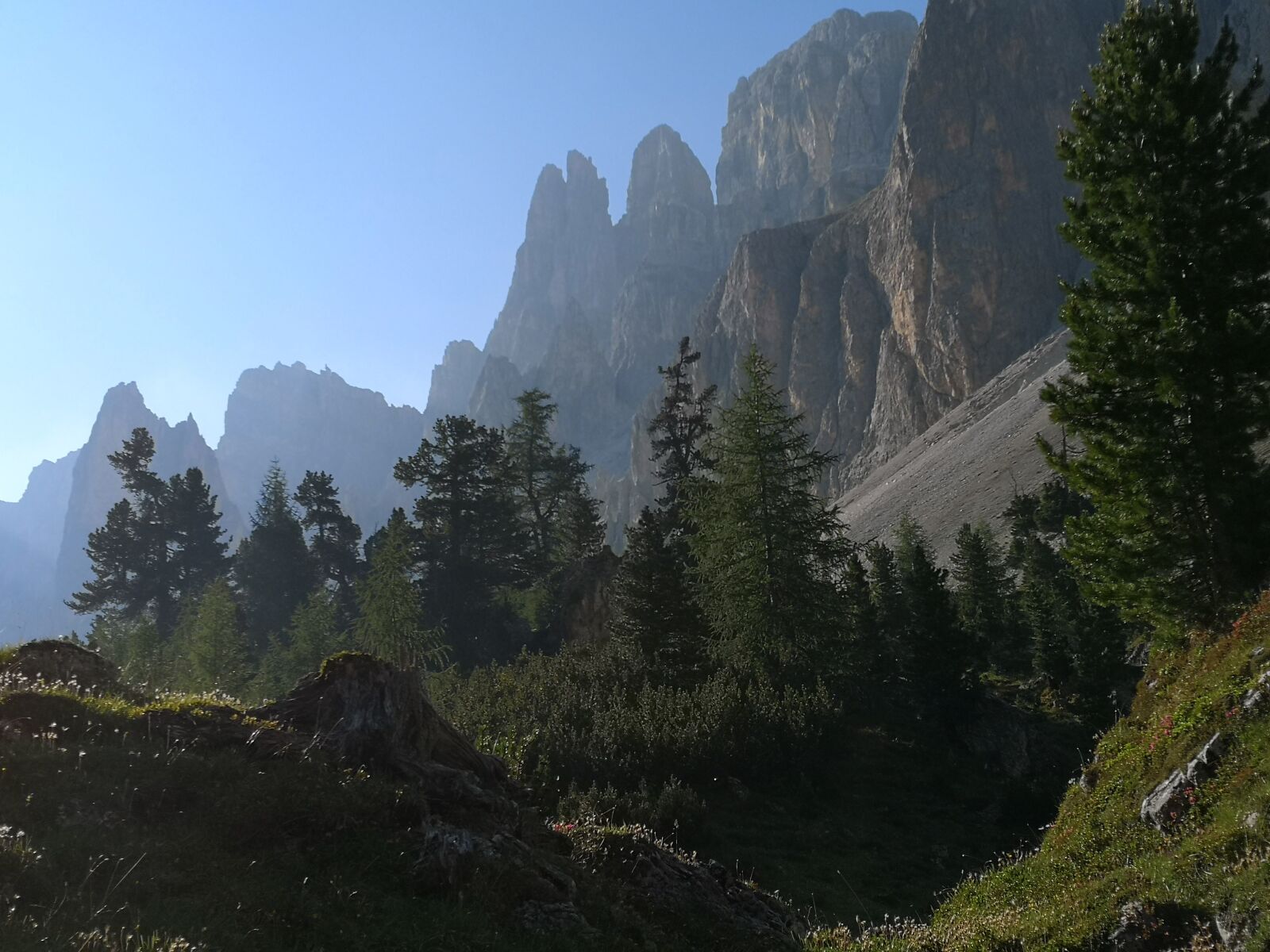 HUAWEI CLT-L09 sample photo. Mature, mountain, alps photography