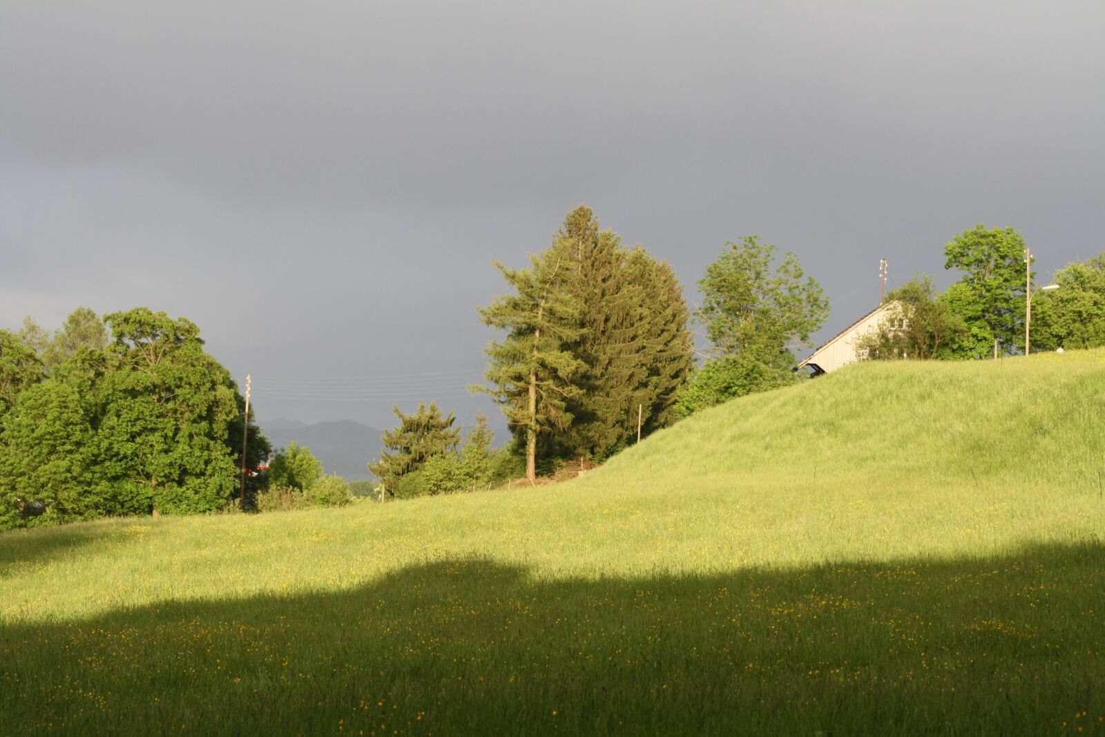 Canon EOS 1000D (EOS Digital Rebel XS / EOS Kiss F) sample photo. Sun, pasture, clouds photography