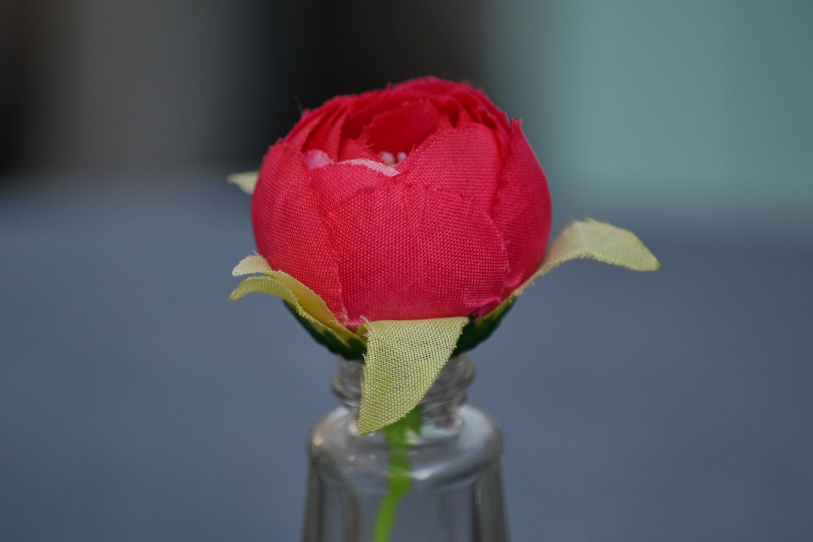 Nikon D5500 sample photo. Decoration, vase, petal, flower photography
