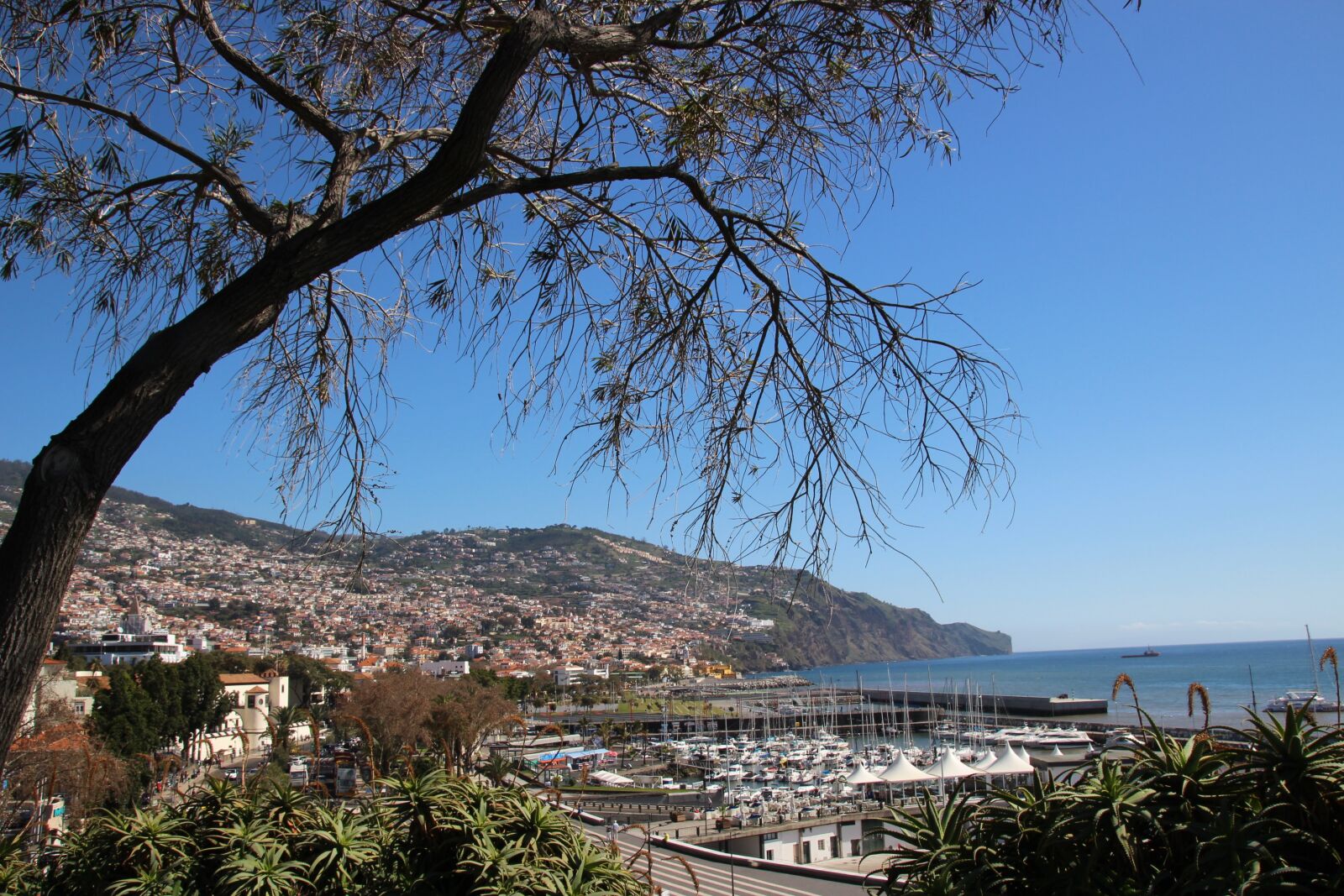 Canon EOS 700D (EOS Rebel T5i / EOS Kiss X7i) sample photo. Madeira, funchal, portugal photography