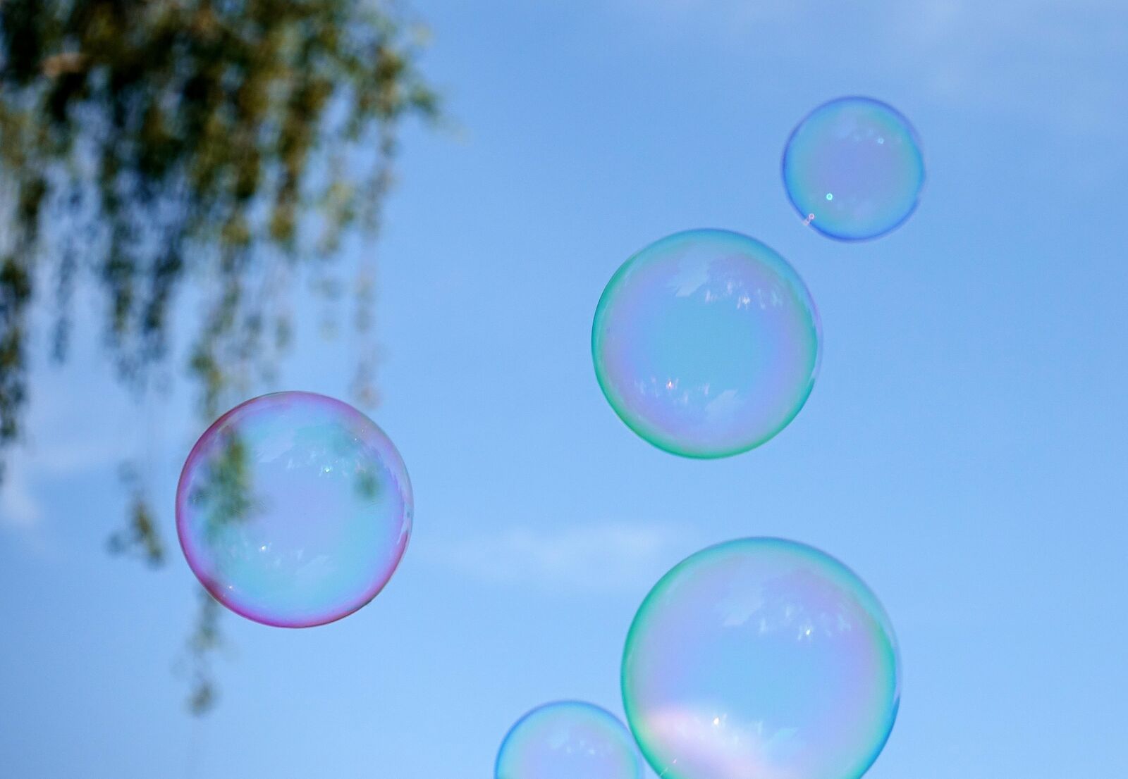 Sony DSC-RX100M5 sample photo. Soap bubbles, colorful, flying photography