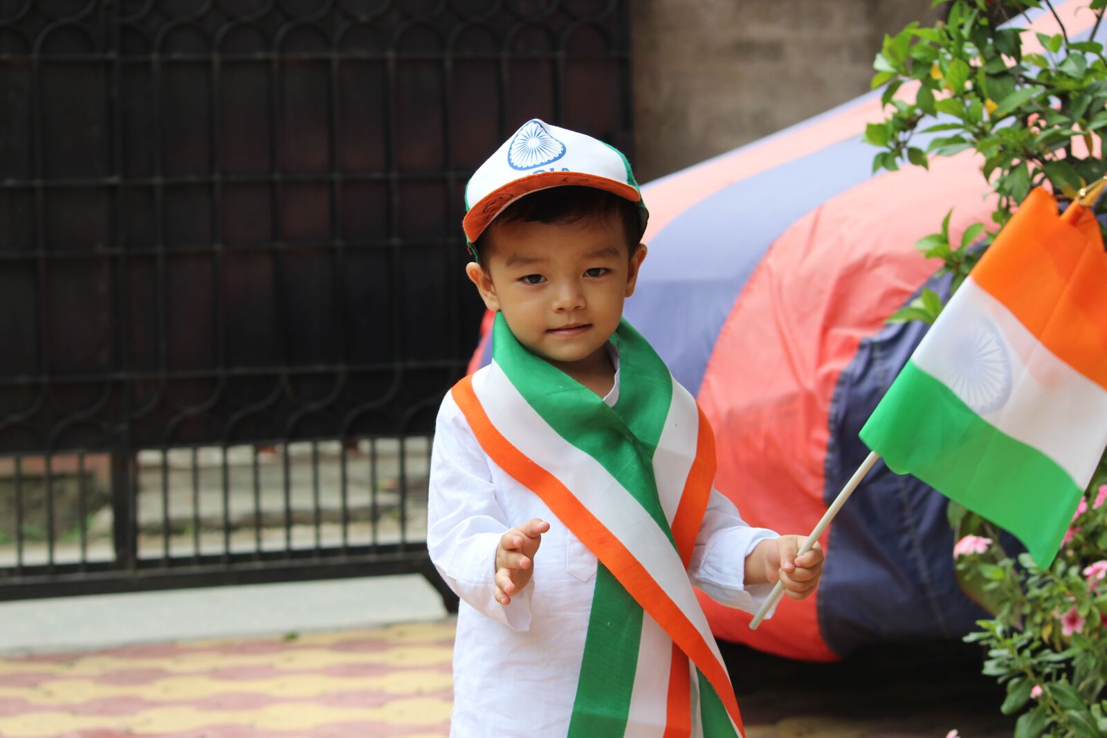 Canon EOS 1200D (EOS Rebel T5 / EOS Kiss X70 / EOS Hi) sample photo. India, flag, independence photography