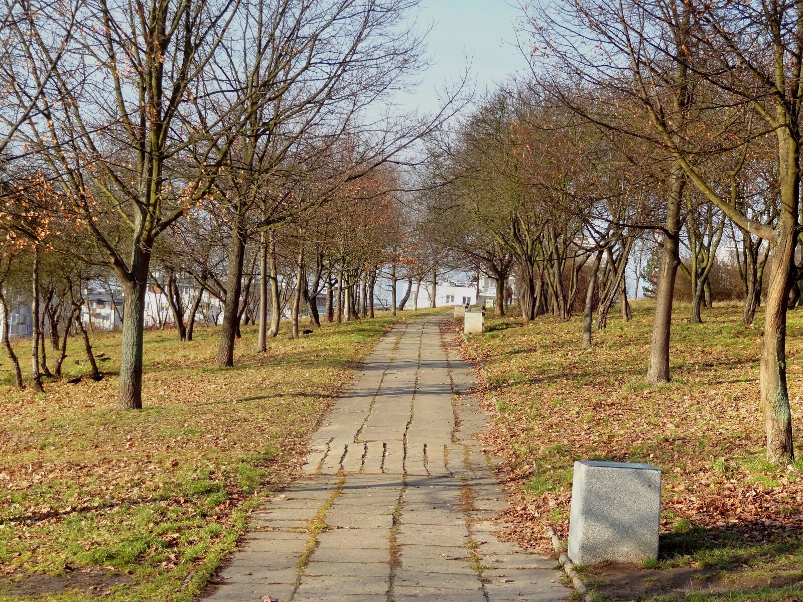 Sony Cyber-shot DSC-HX9V sample photo. Author, skibka, photo photography