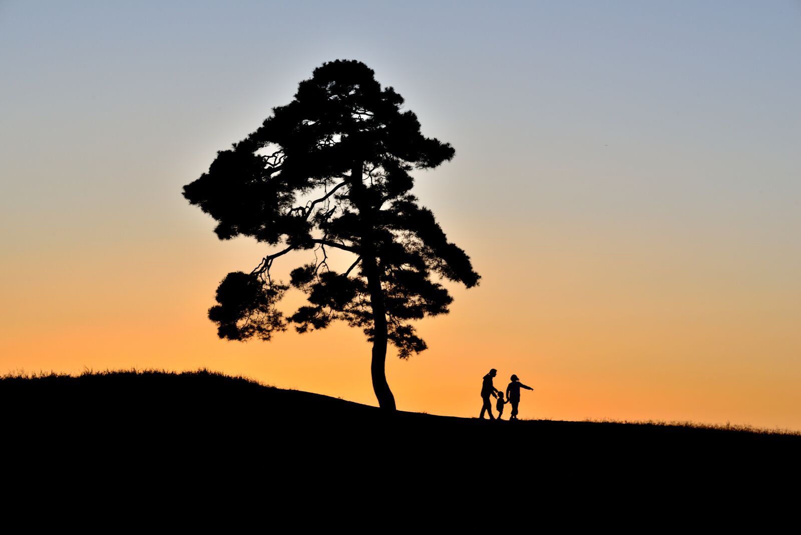 Nikon D800 sample photo. Sunset, sunrise, silhouette photography