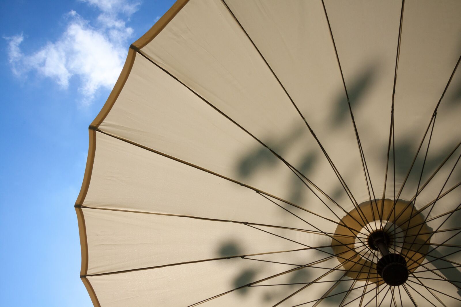 Canon EF-S 17-85mm F4-5.6 IS USM sample photo. Parasol, screen, sun photography