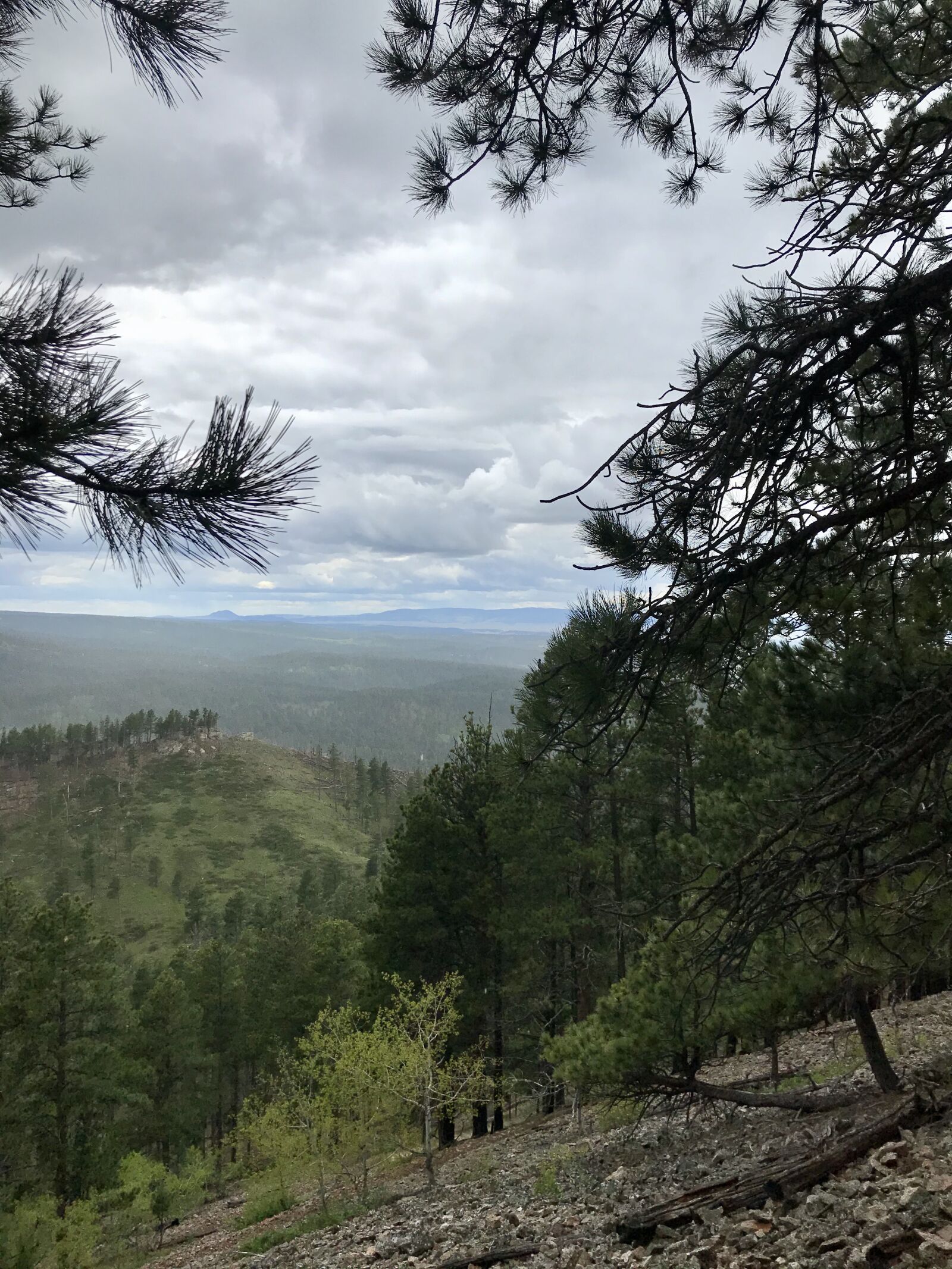 iPhone 7 back camera 3.99mm f/1.8 sample photo. Crow, peak, hike photography