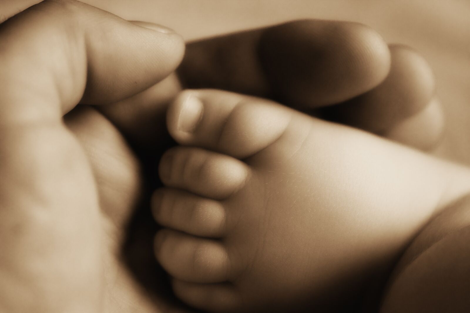 Canon EOS 550D (EOS Rebel T2i / EOS Kiss X4) sample photo. Foot, baby, baby feet photography